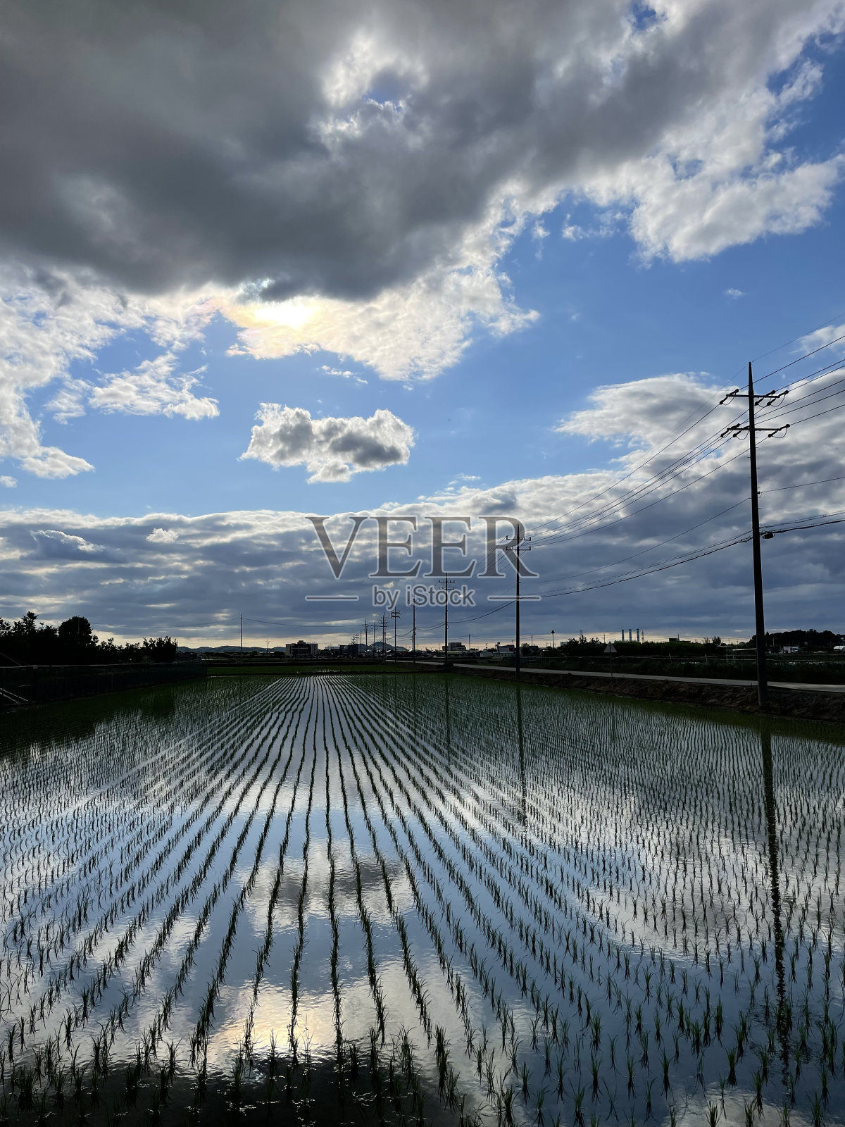 自然景观乡村。照片摄影图片