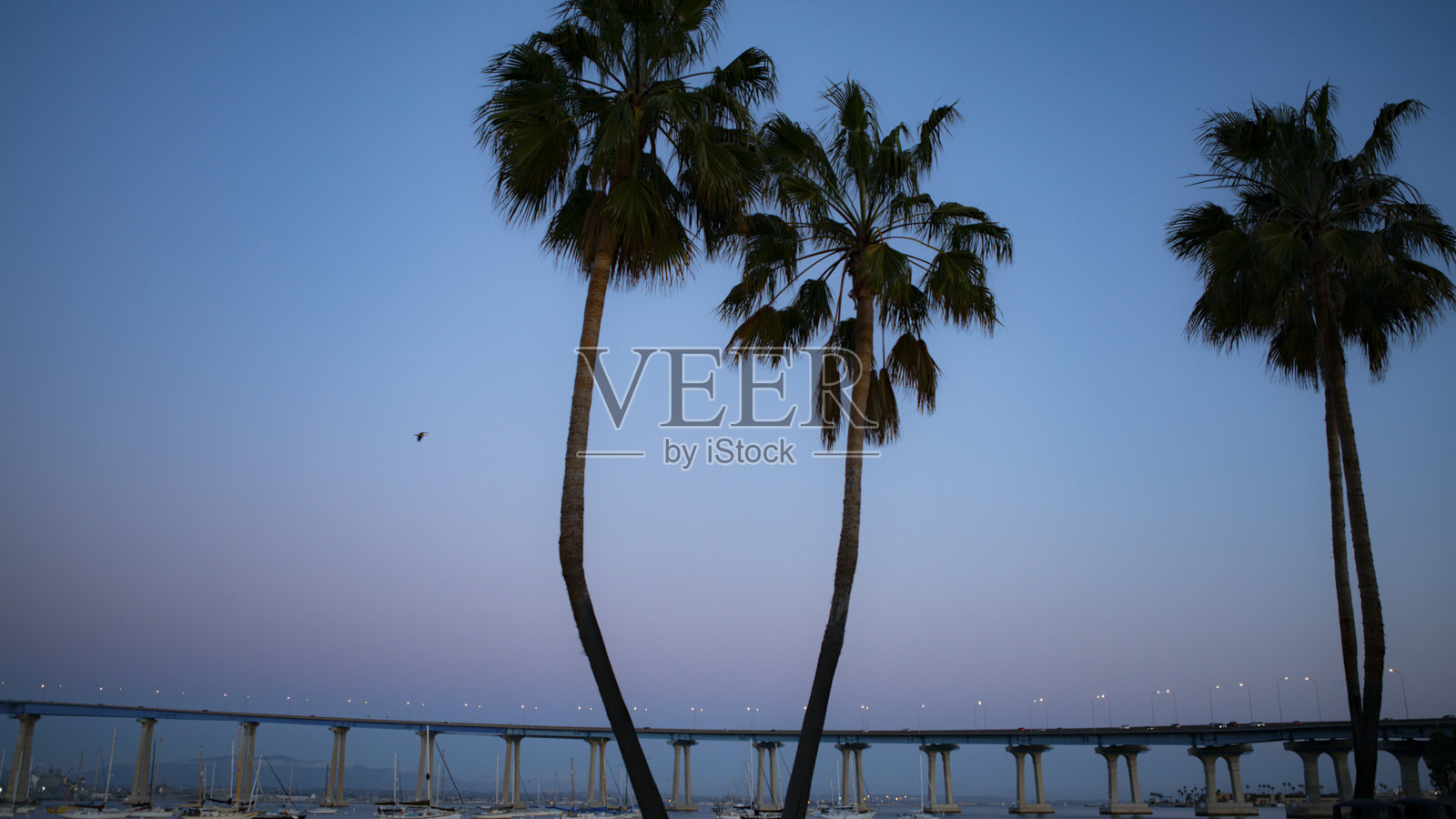 黄昏时分,圣地亚哥科罗纳多大桥,眺望海湾对岸的大桥照片摄影图片