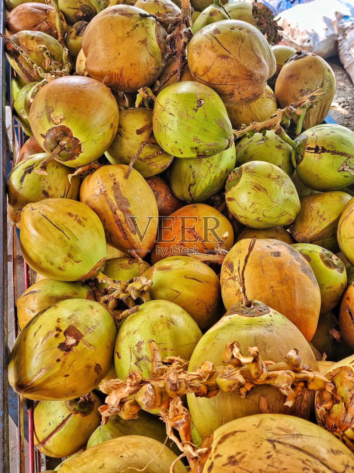 椰子果堆照片摄影图片