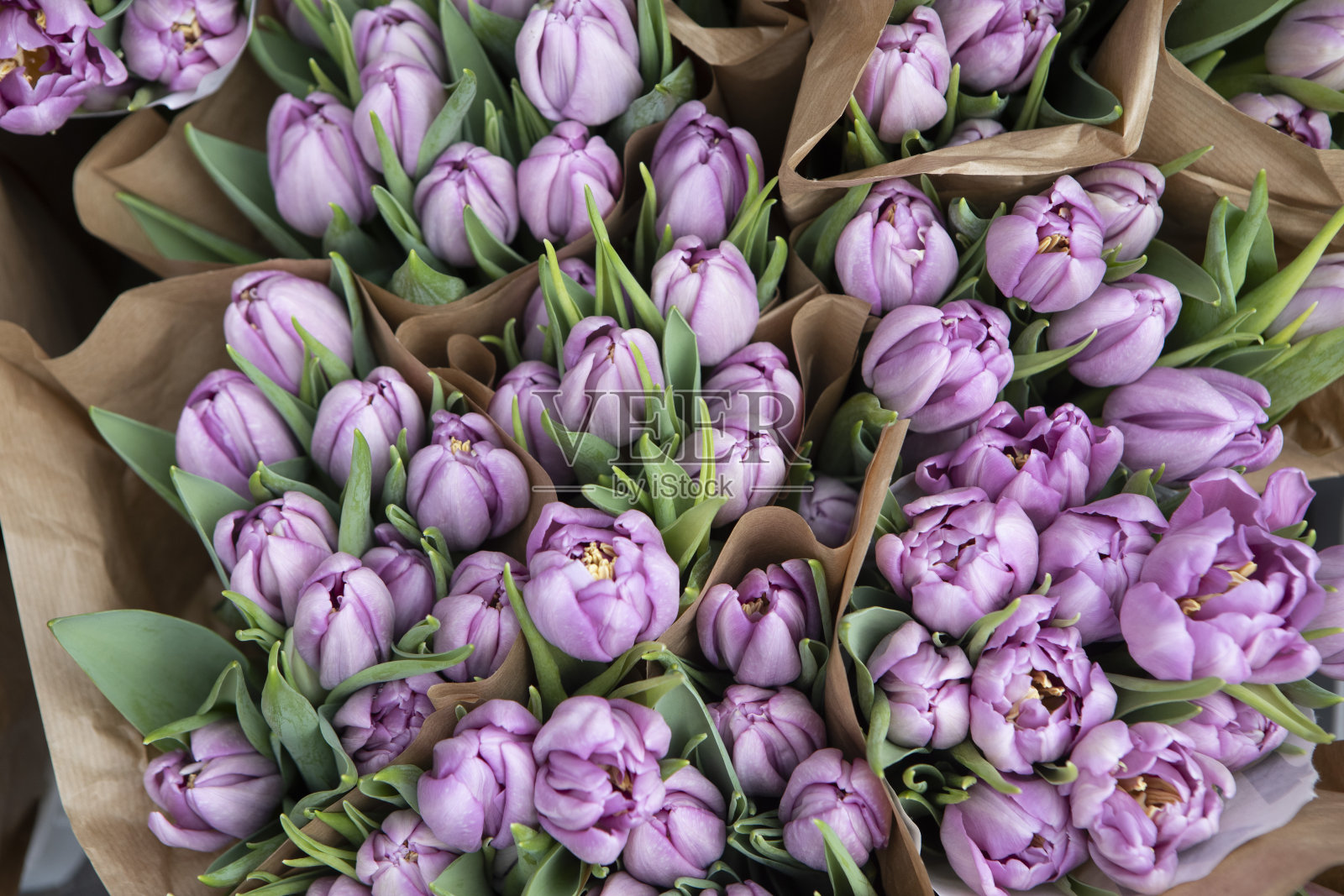 户外花摊上的牡丹郁金香照片摄影图片