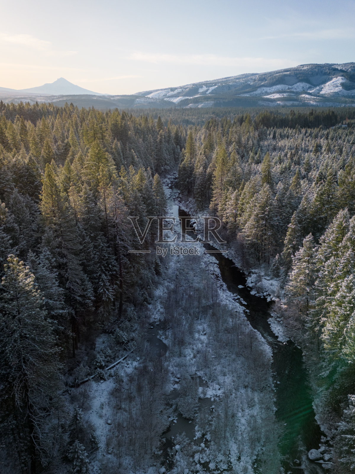 清晨看到的白雪覆盖的森林照片摄影图片
