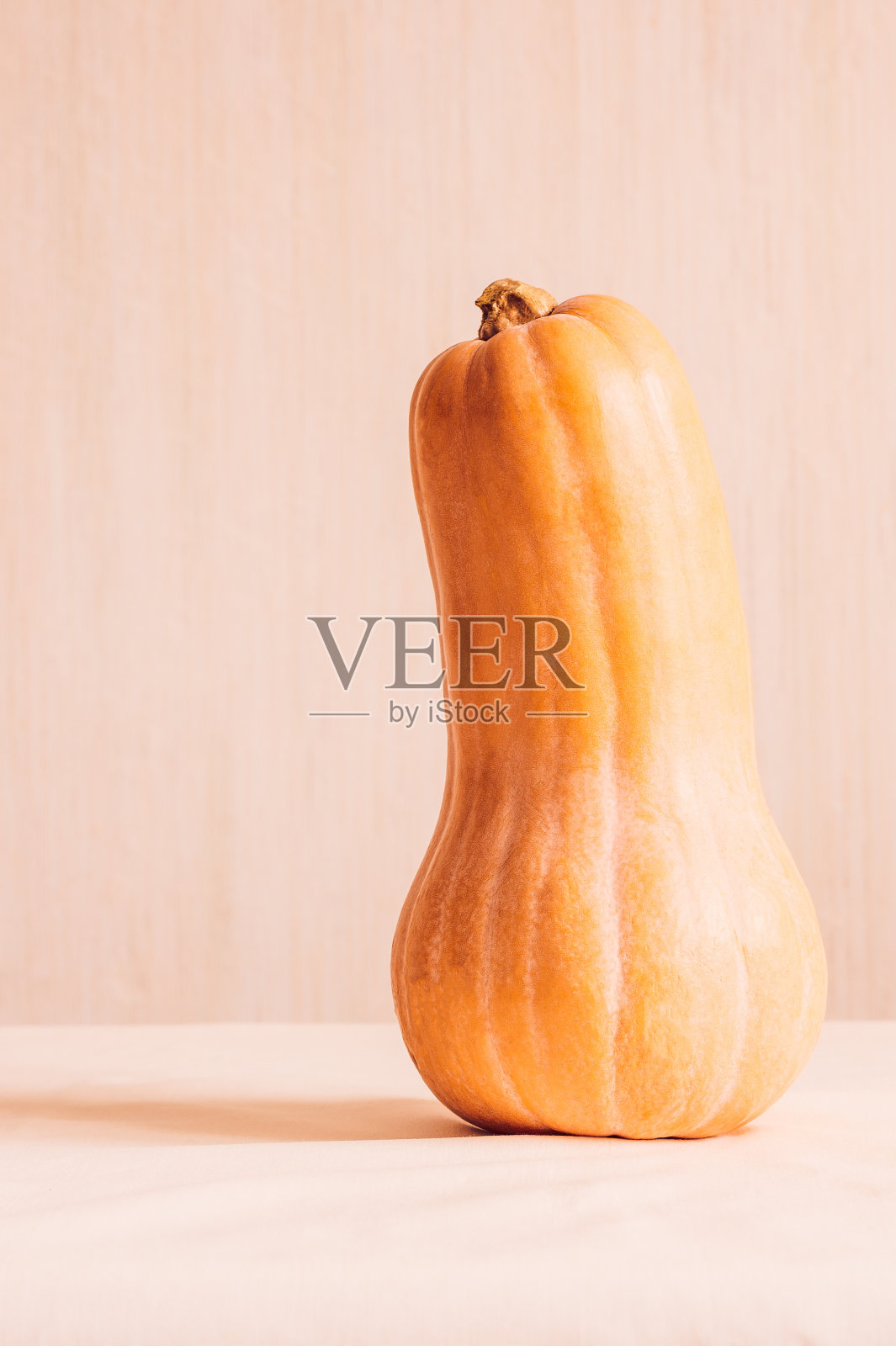 新鲜的冬南瓜。生橙色有机冬南瓜准备烘烤。瓶形冬胡桃南瓜照片摄影图片