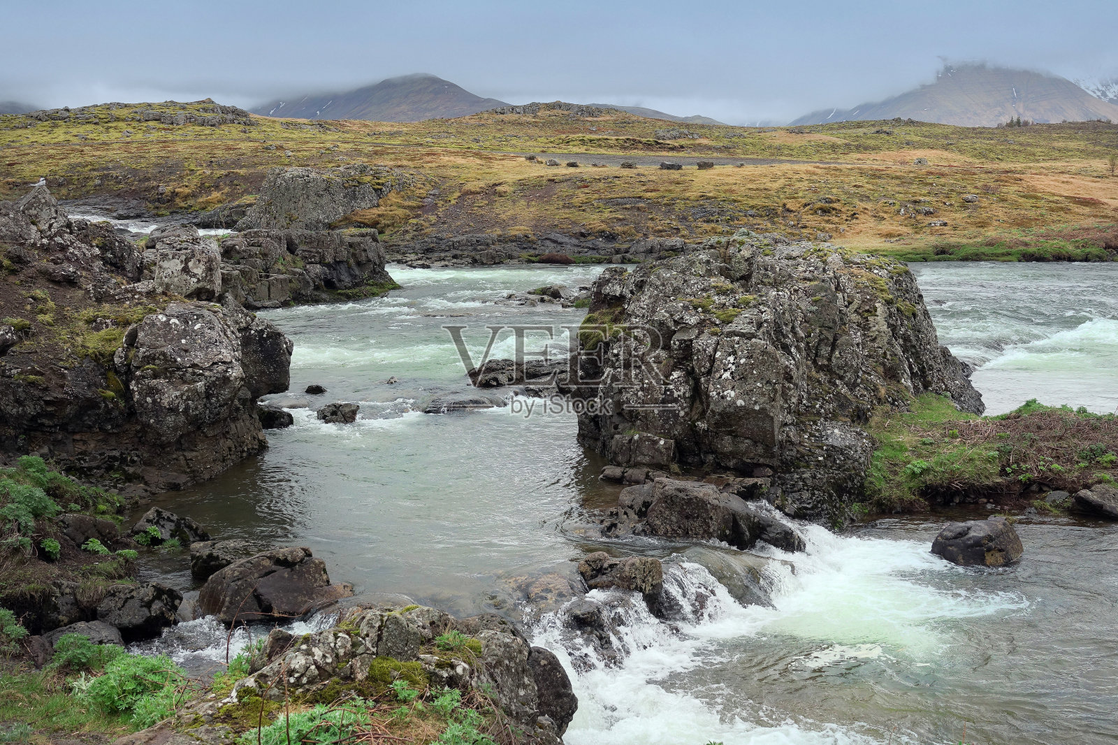 冰岛西部的春天照片摄影图片