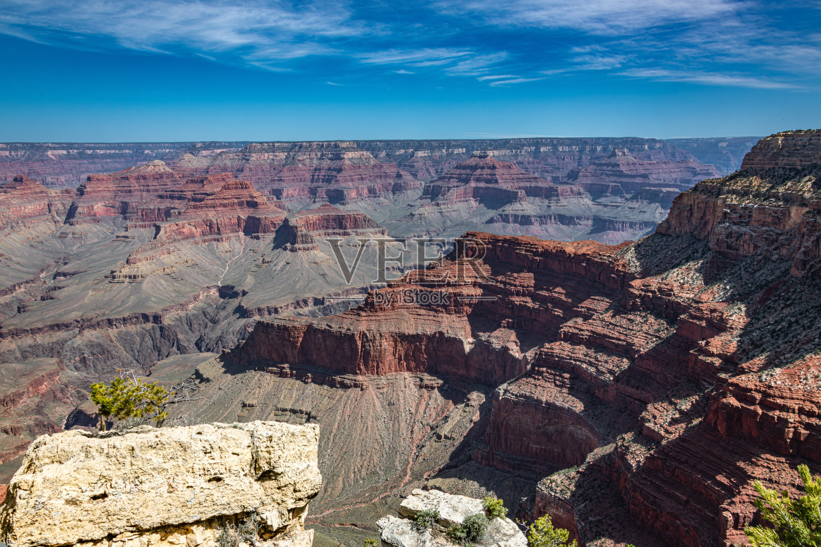 大峡谷国家公园南缘的春天照片摄影图片