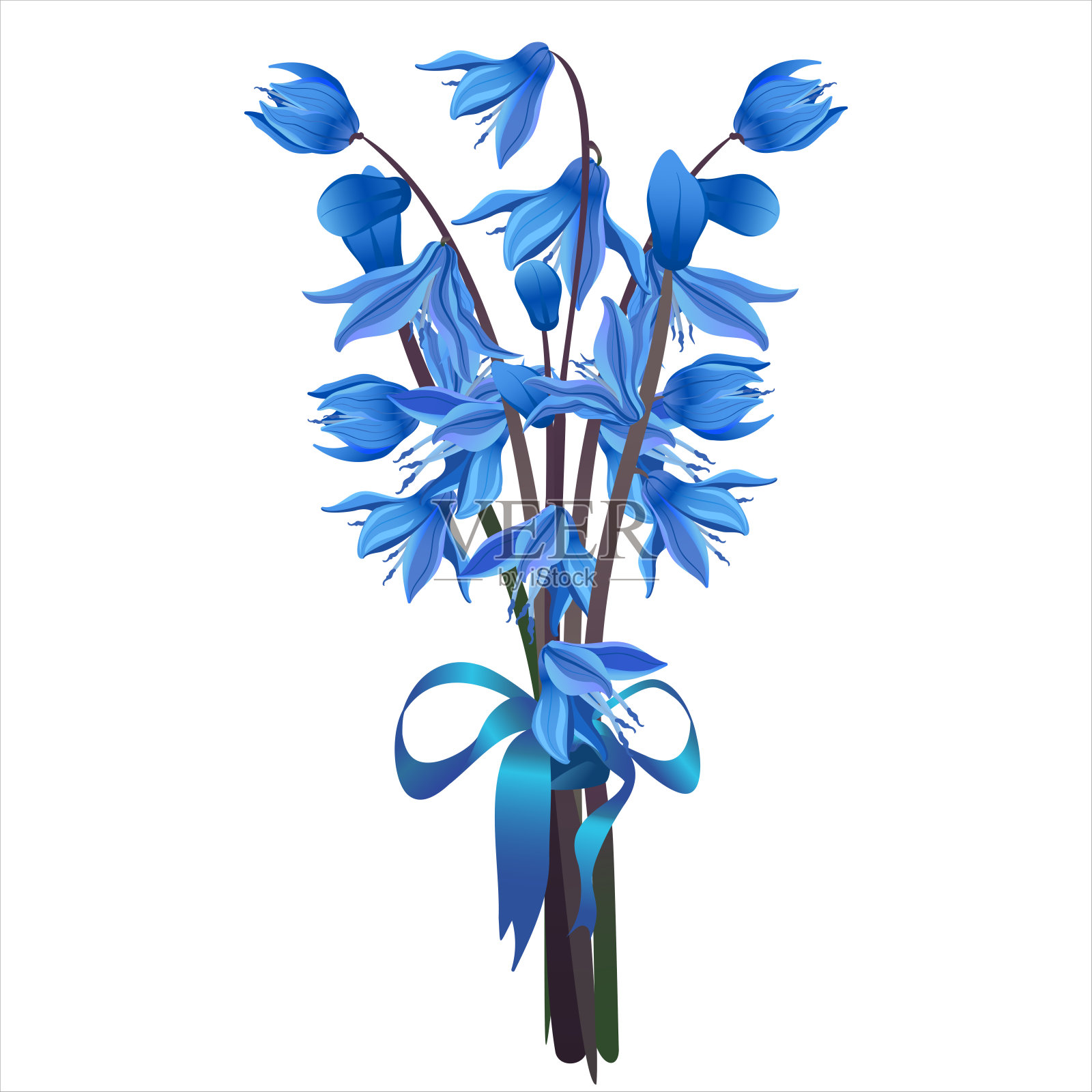 一束蓝色的春天矢量花,雪花莲的叶子和茎,用蓝色的丝带装饰,象征春天和春天的节日插画图片素材