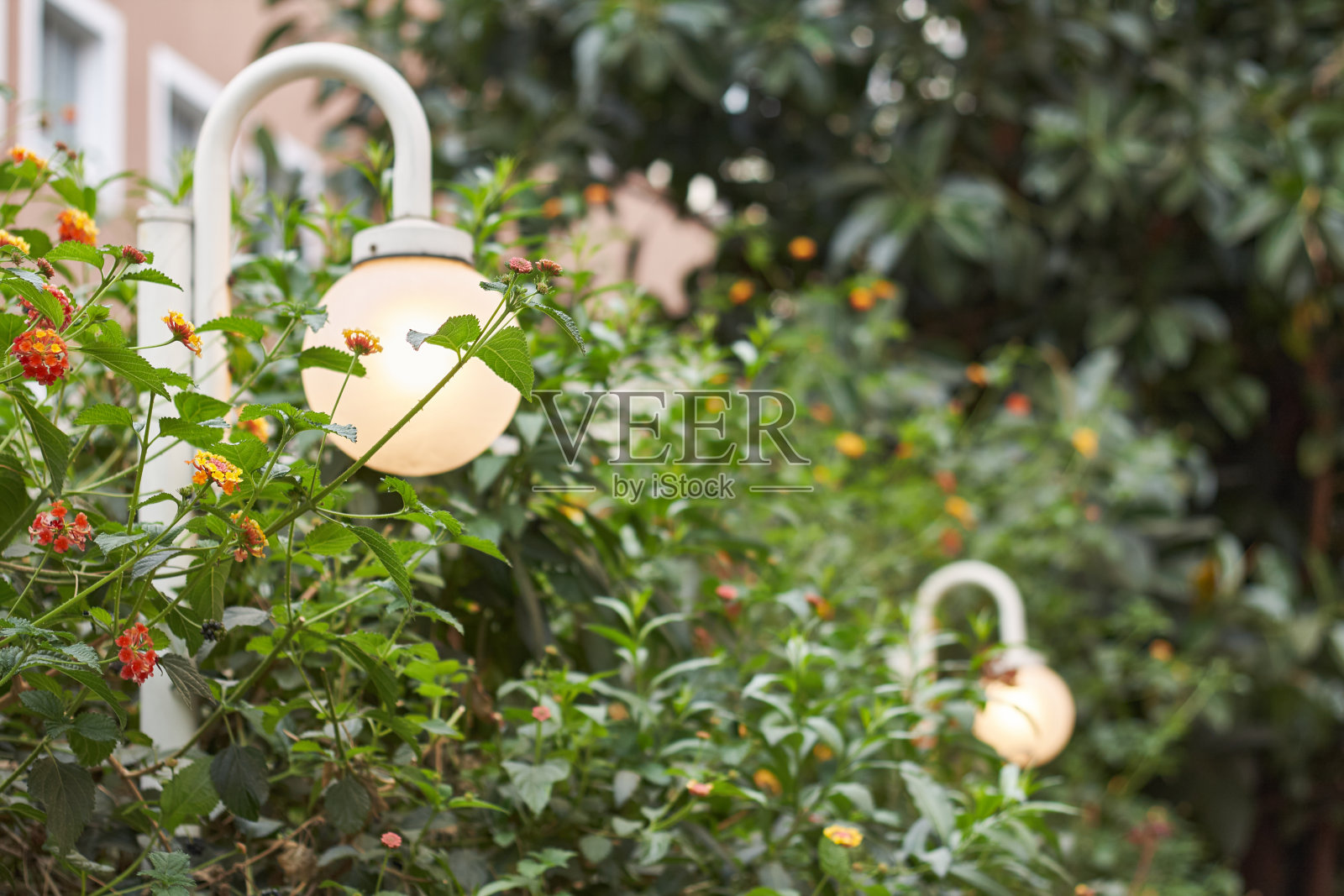 公园户外灯具照片摄影图片