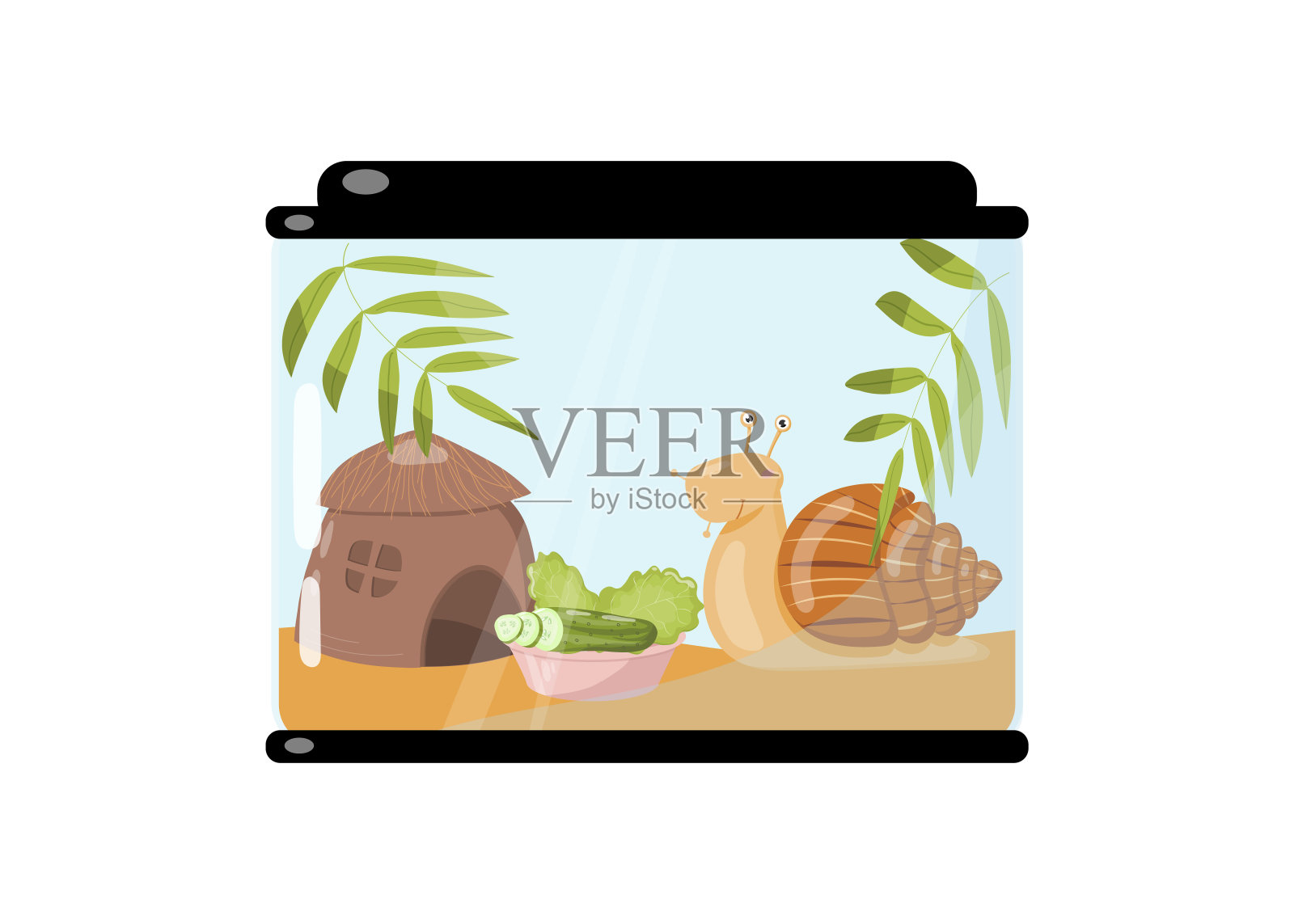 矢量可爱的宠物微笑蜗牛在一个椰子壳房子和一碗黄瓜和生菜的水族馆。白色背景上的巨型非洲蜗牛。插画图片素材