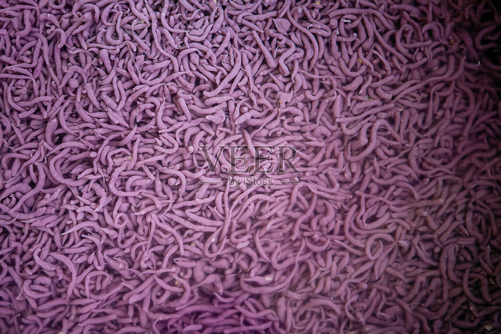 韩国传统料理照片摄影图片