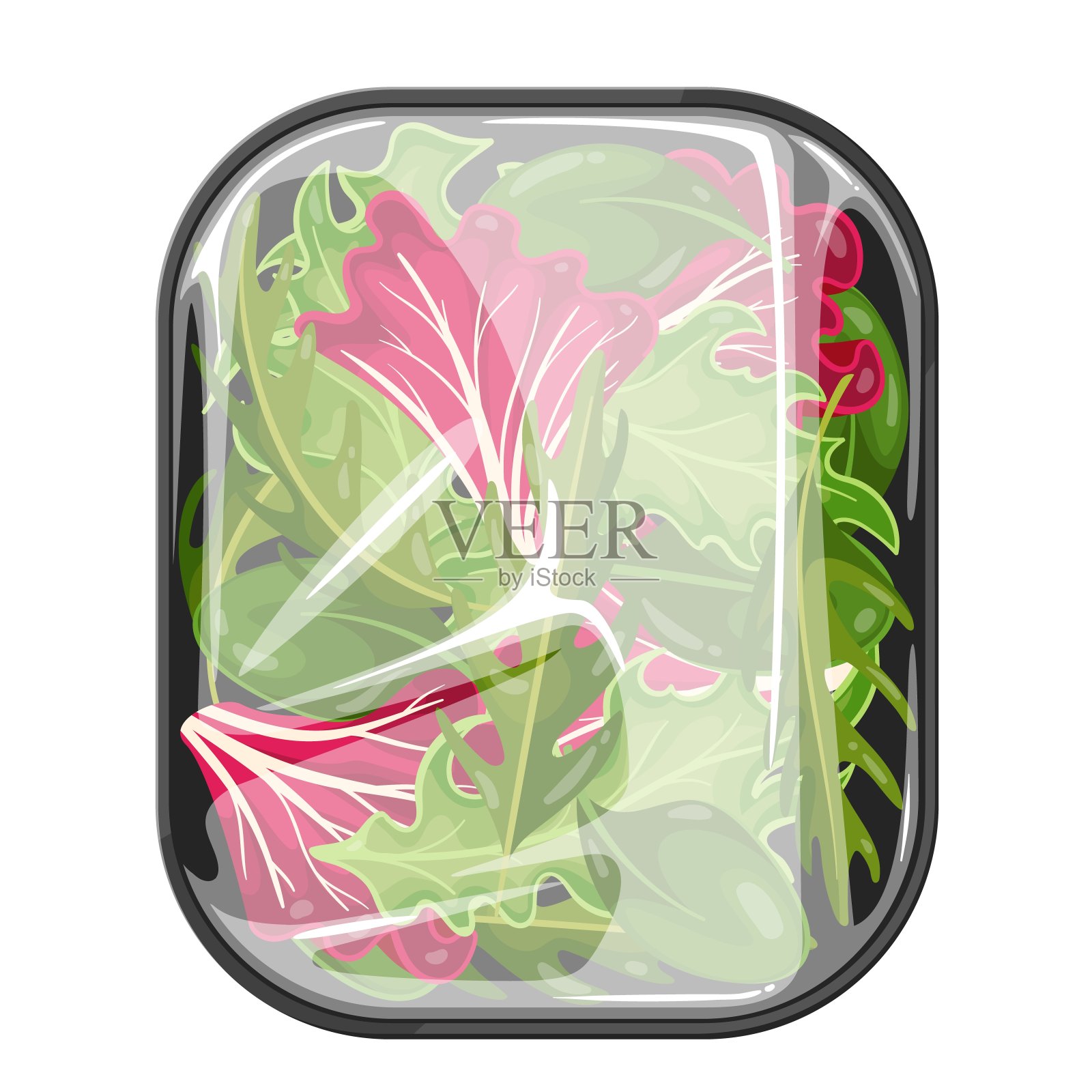 在塑料托盘中混合生菜沙拉插画图片素材