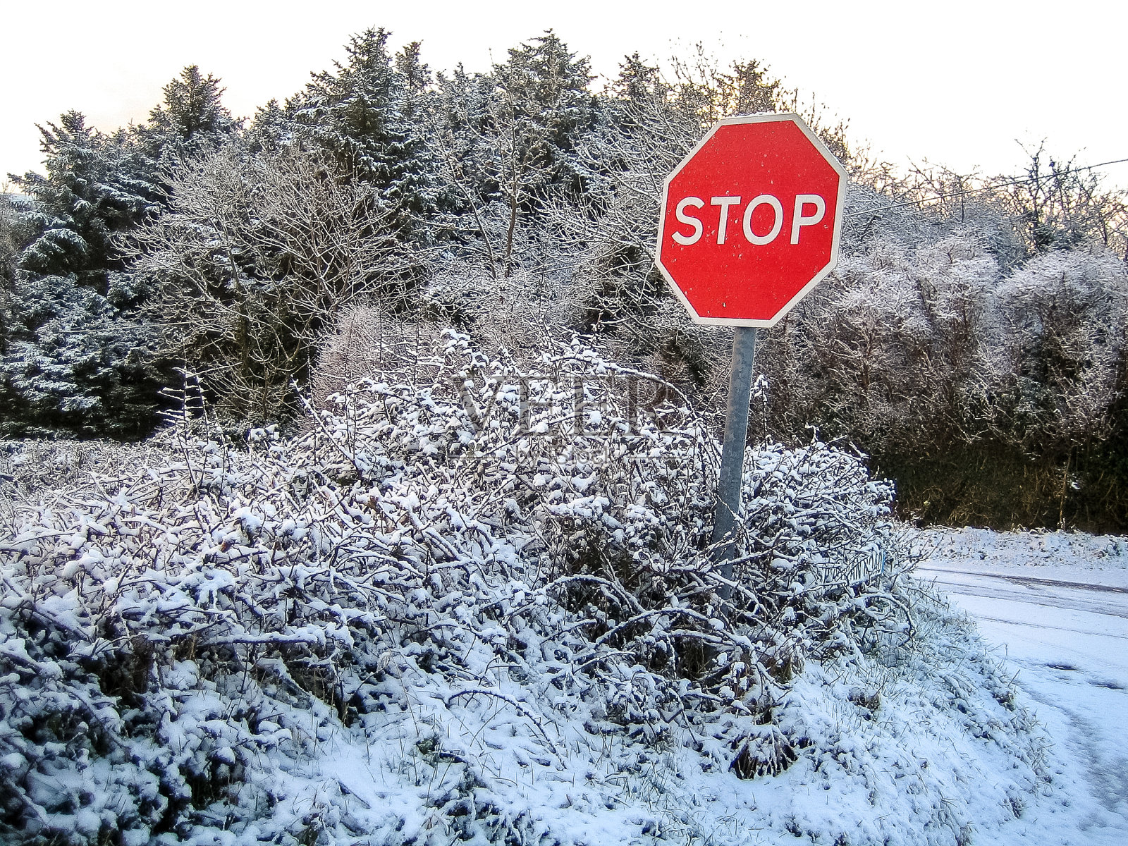 冬季乡村景观照片摄影图片