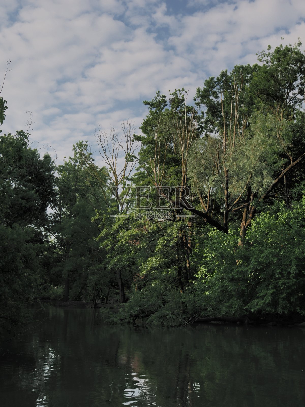 早上去公园照片摄影图片