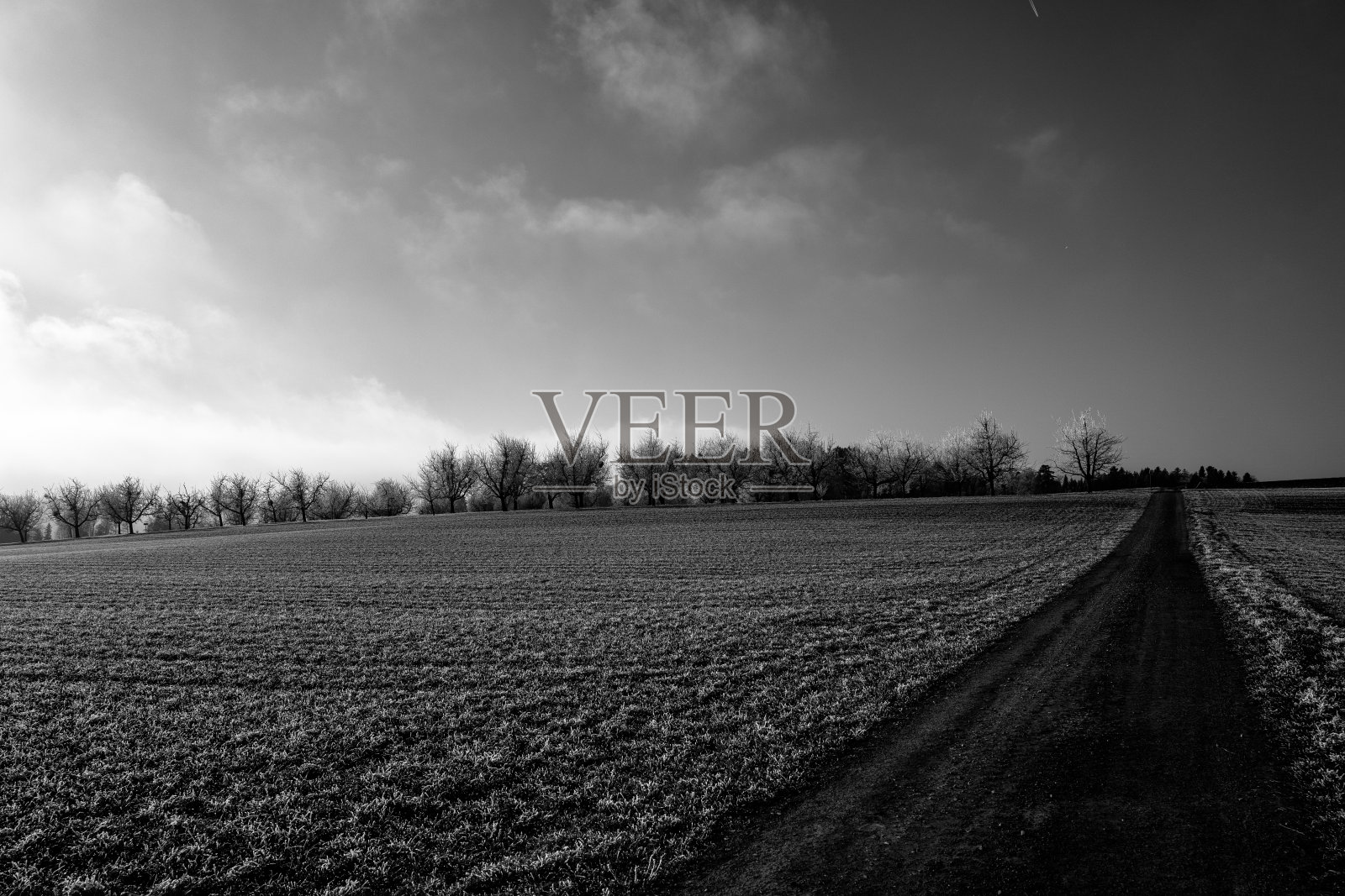 天空衬托下的田野风景照片摄影图片