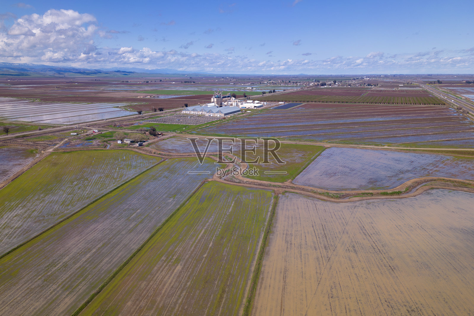 稻田和农业工厂。种植和粮食生产照片摄影图片