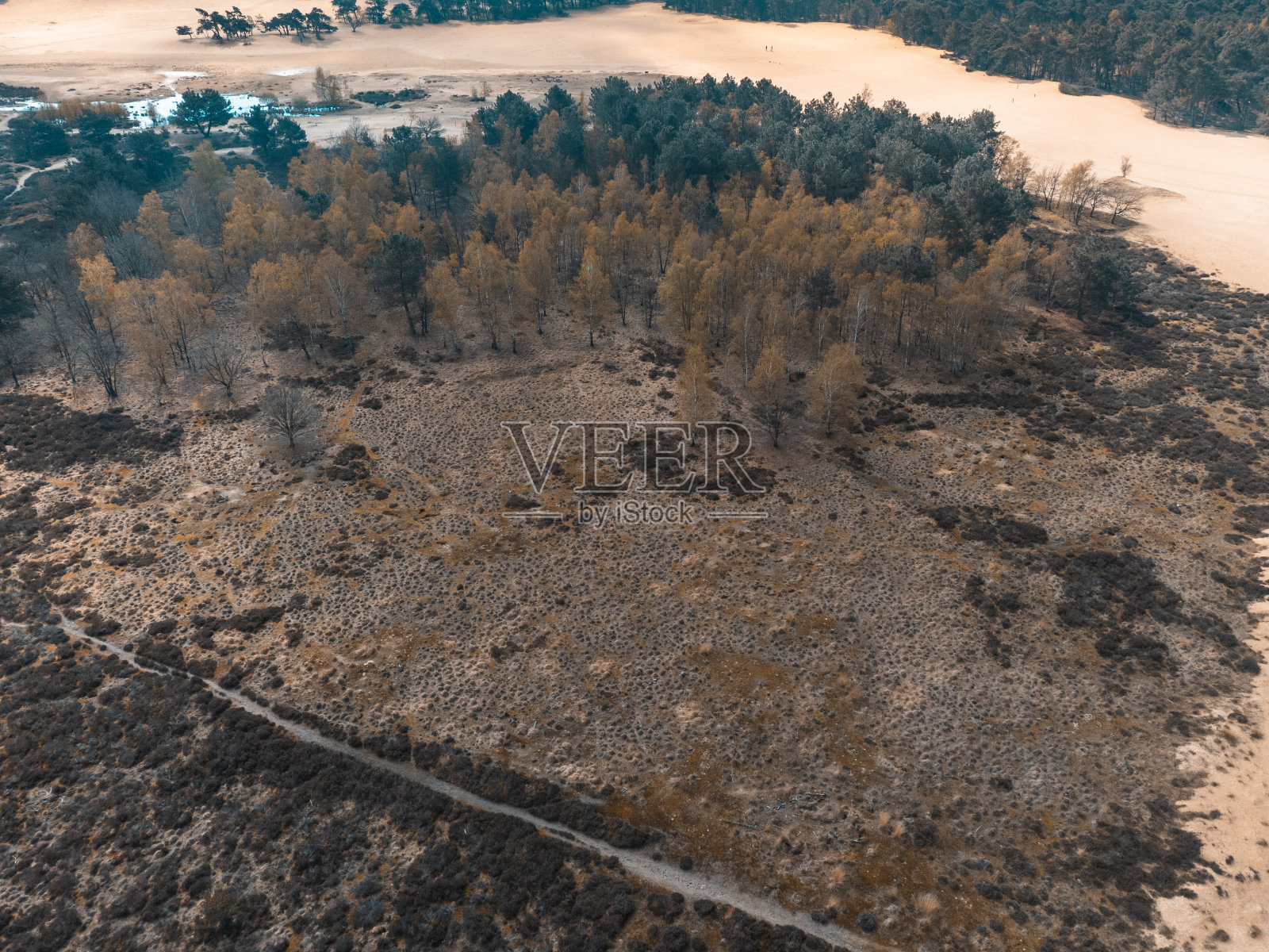 沙漠、松林和杜伊南国家公园的俯视图照片摄影图片