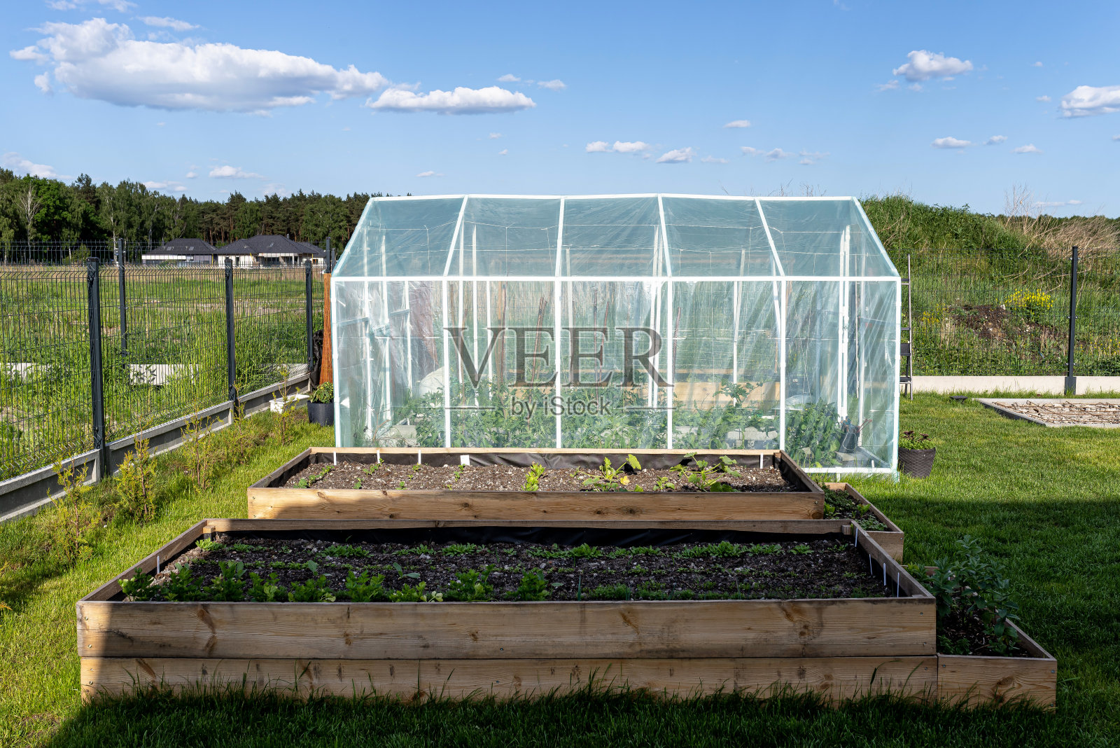 后院用锡箔制成的温室立在房子后面的草地上。照片摄影图片