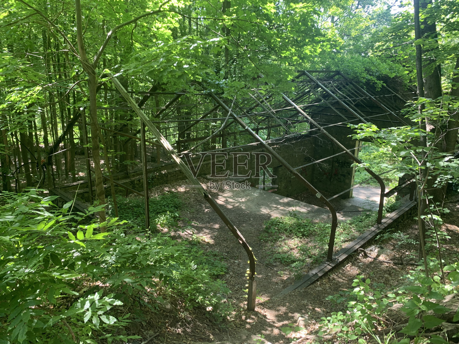 森林里的老房子框架照片摄影图片