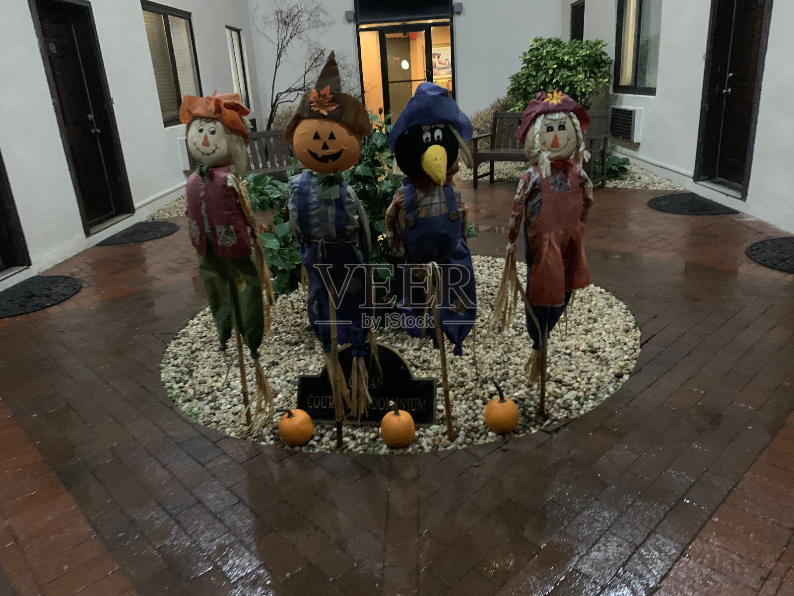 万圣节的装饰品照片摄影图片