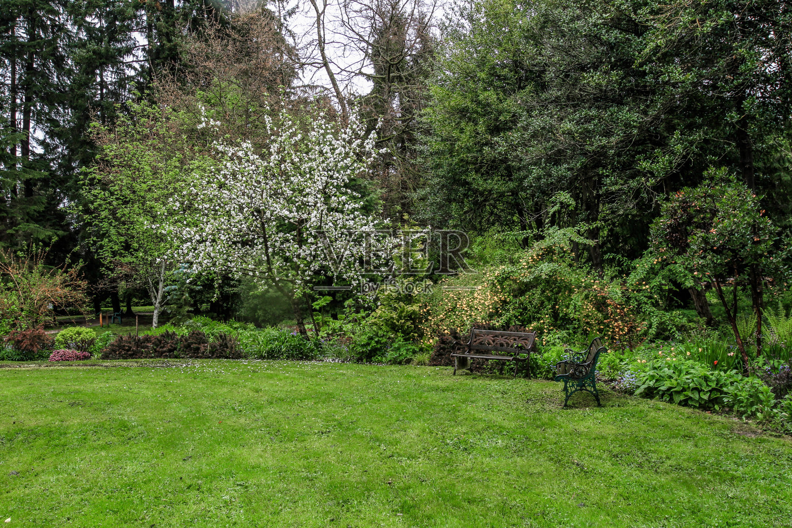 里士满市保利克社区公园的片段照片摄影图片