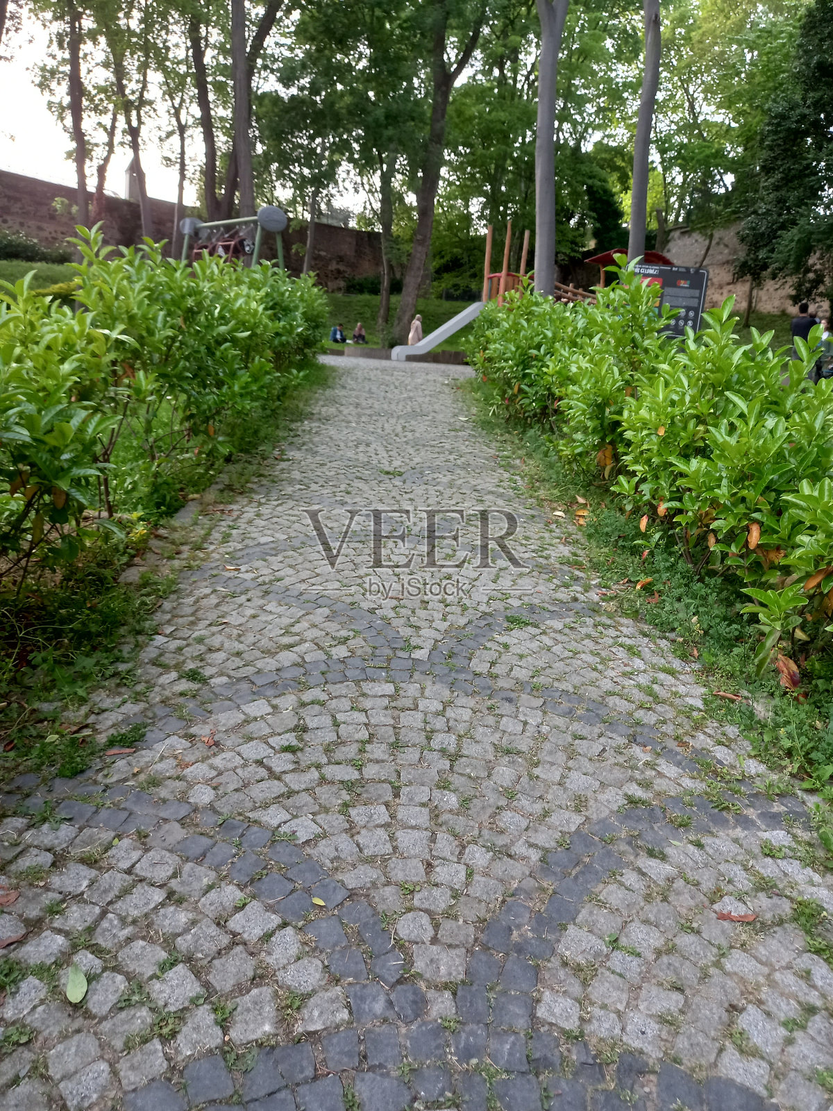 Yol manzara ağaç tamu照片摄影图片