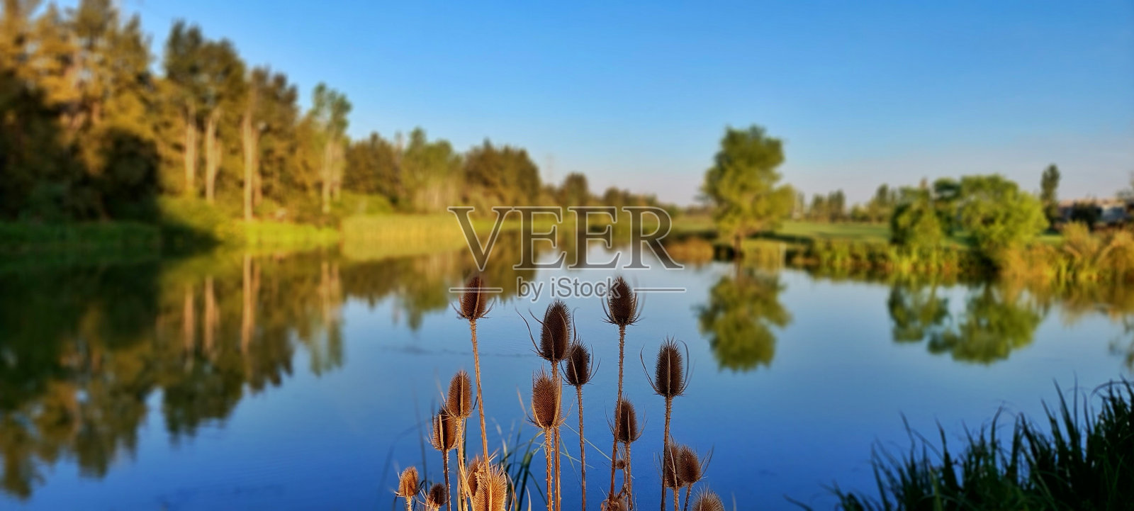 北三角洲平静的湖泊照片摄影图片