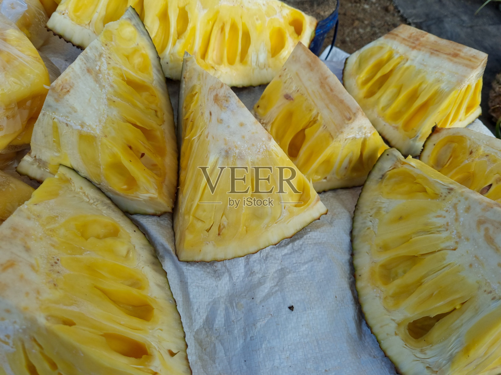 菠萝蜜(Artocarpus heterophyllus),也被称为菠萝蜜树,是无花果、桑树和面包果树科(桑科)中的一种树。常用于南亚和东南亚菜系照片摄影图片