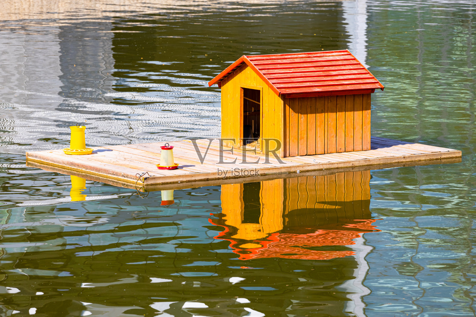 池塘上鸟儿的浮屋。照片摄影图片