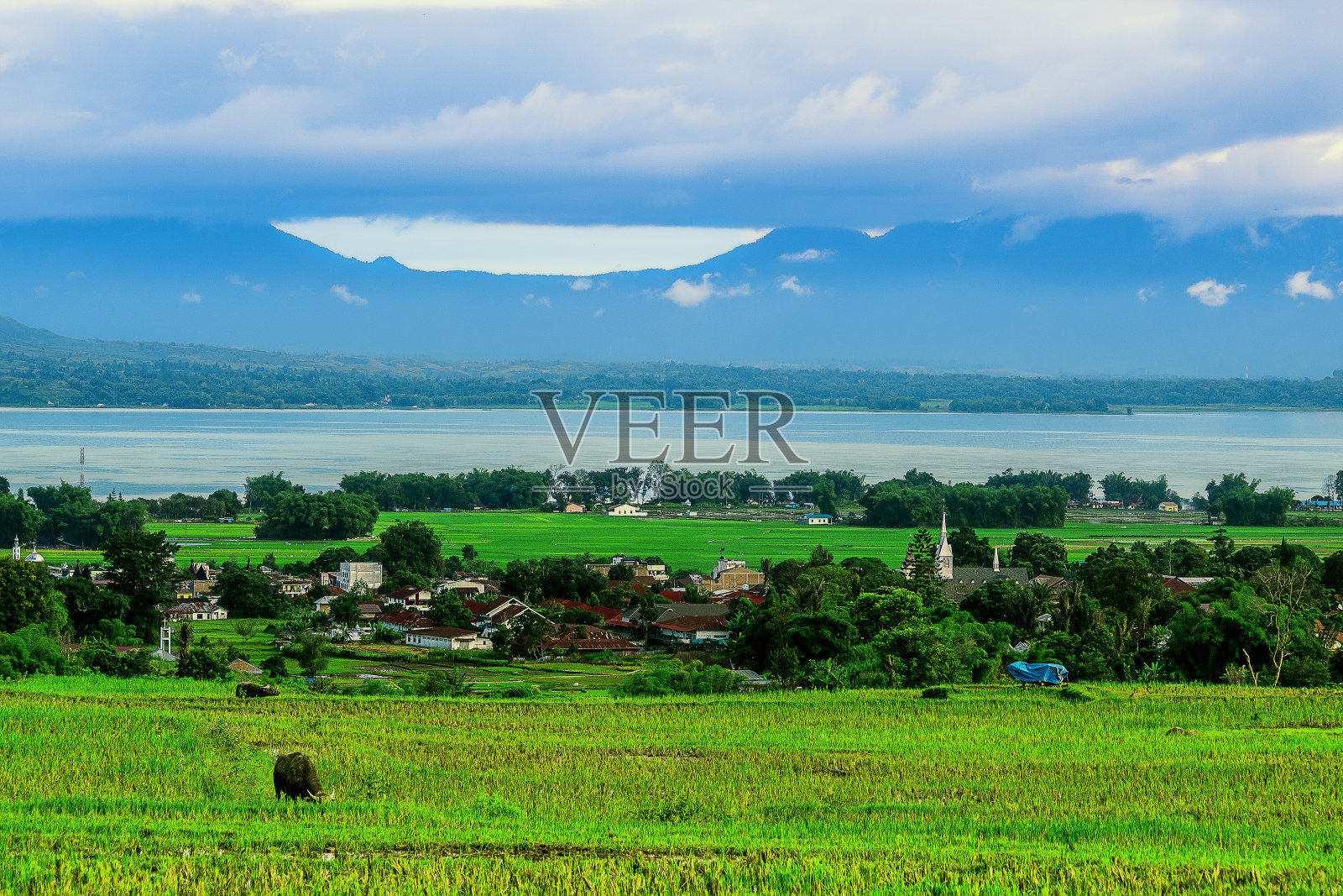 收获季节和种植季节的乡村景观。照片摄影图片