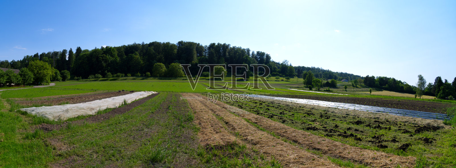 风景优美的瑞士小镇与农田。照片摄影图片