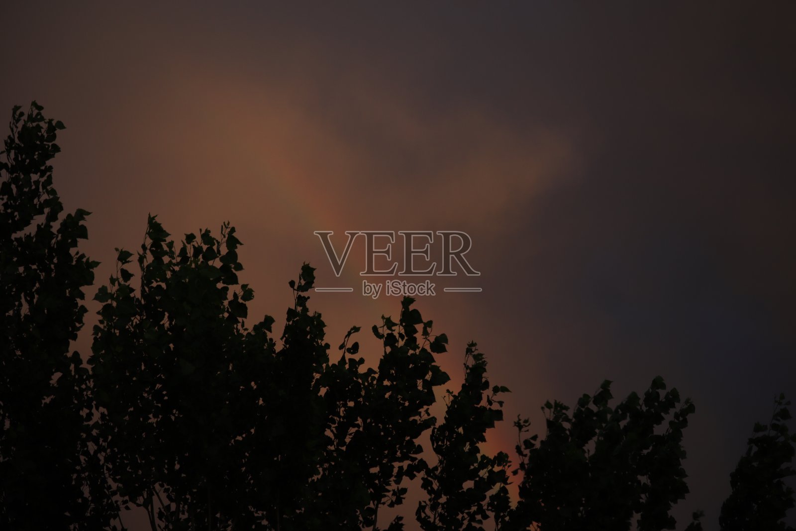 轮廓照片摄影图片