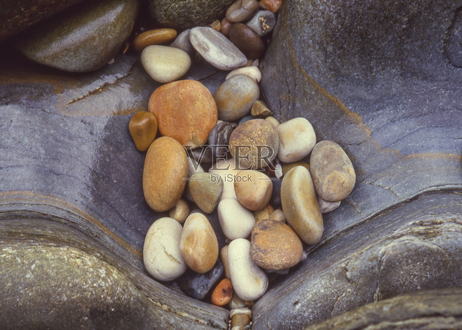 齐齐卡马国家公园里的鹅卵石。照片摄影图片