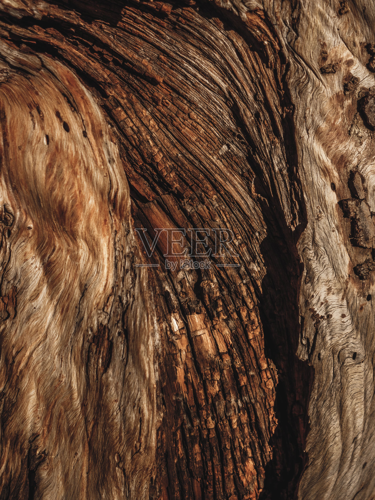 木照片摄影图片