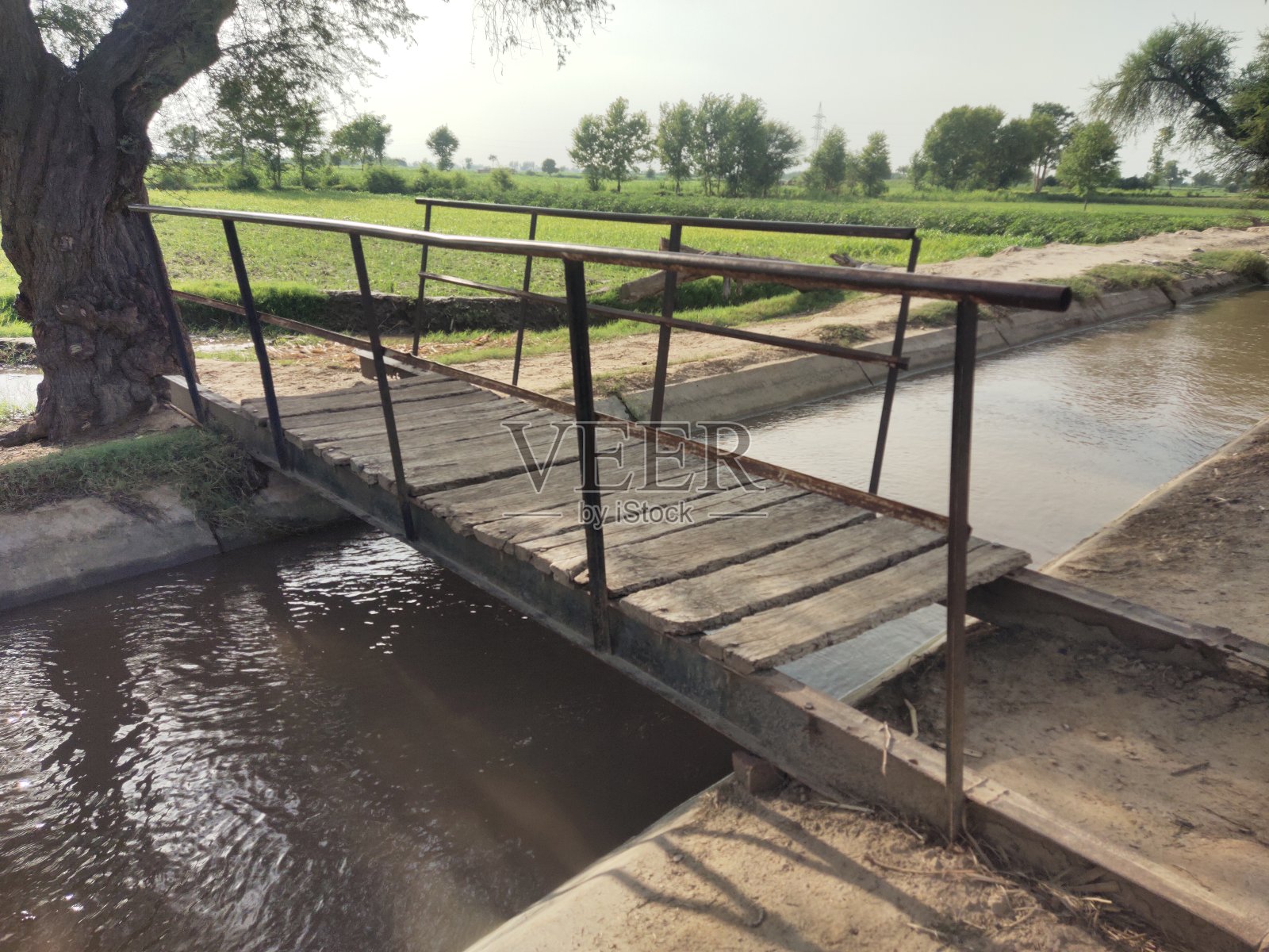 在旁遮普的一个村庄里,一座用木头建造的运河过桥照片摄影图片