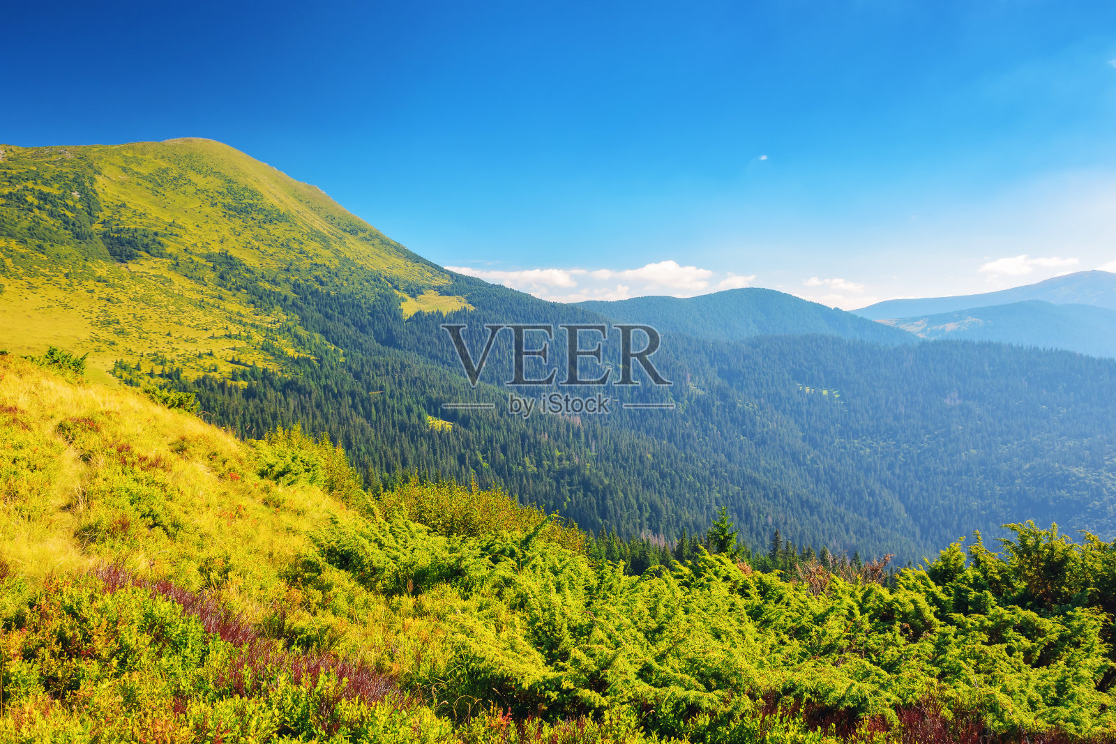 夏天喀尔巴阡山脉的乡村照片摄影图片