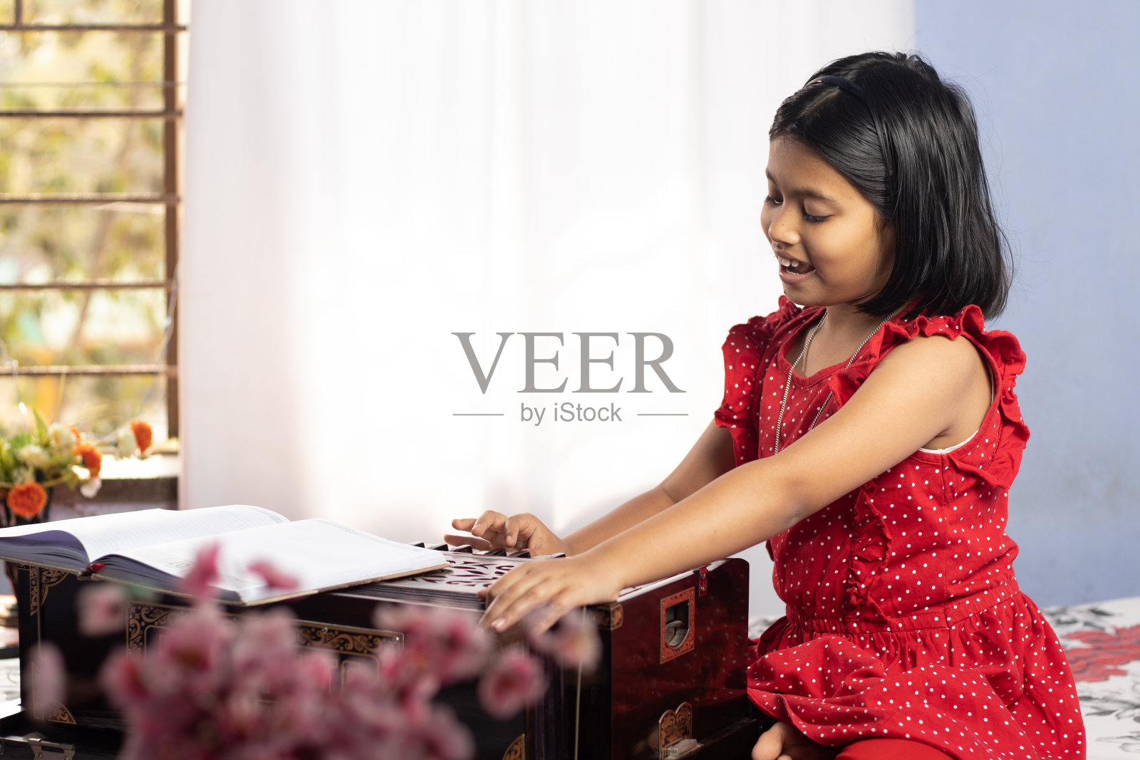 口琴——手工制作的木制乐器照片摄影图片