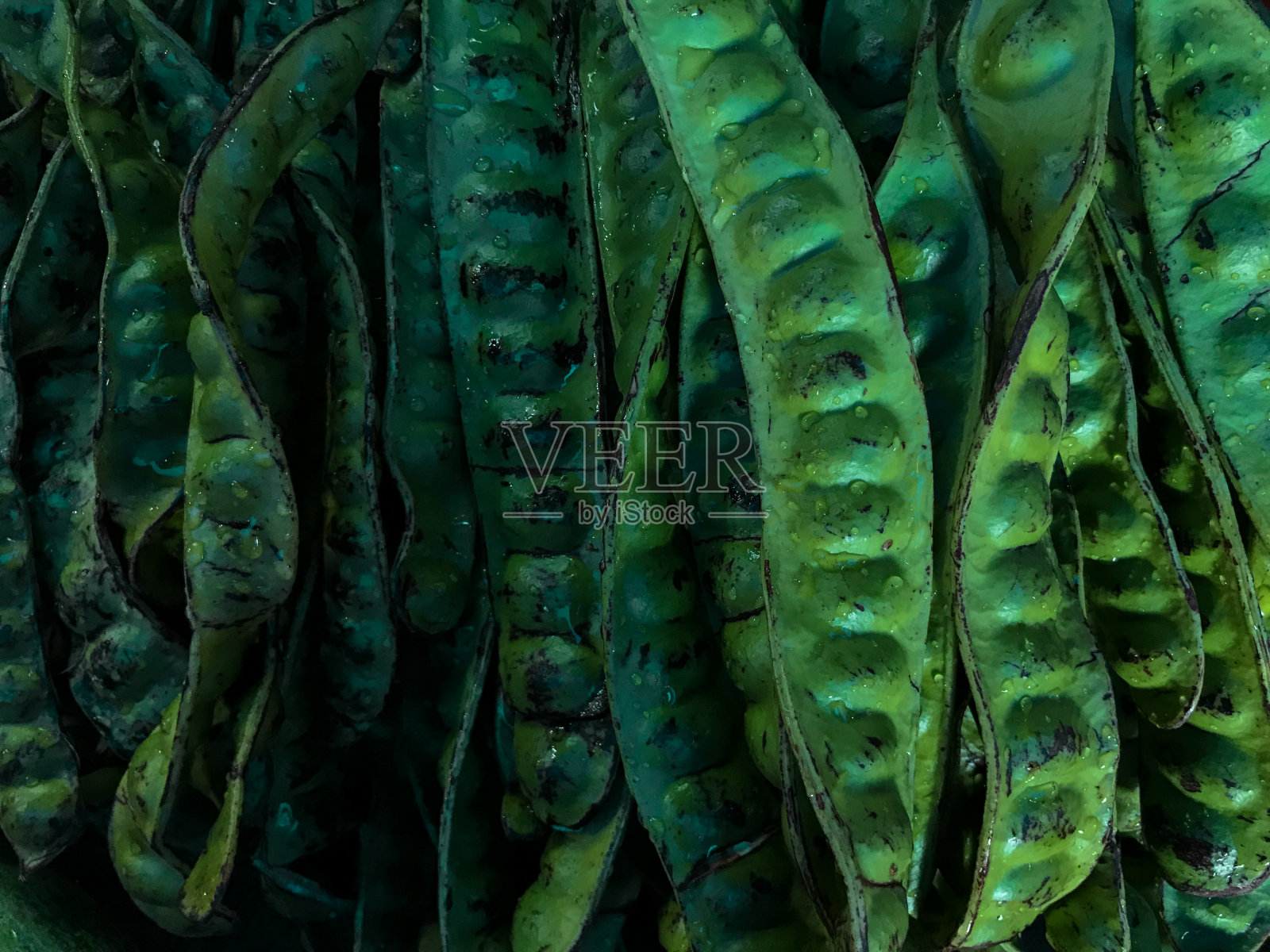 一组紫檀或紫檀照片摄影图片