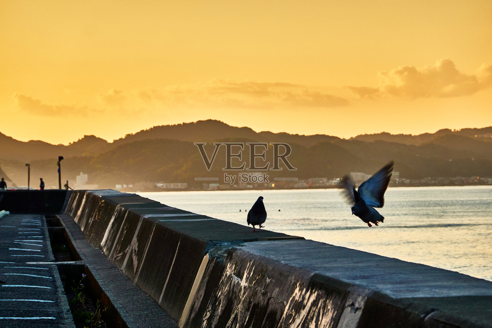 日出时的海景照片摄影图片