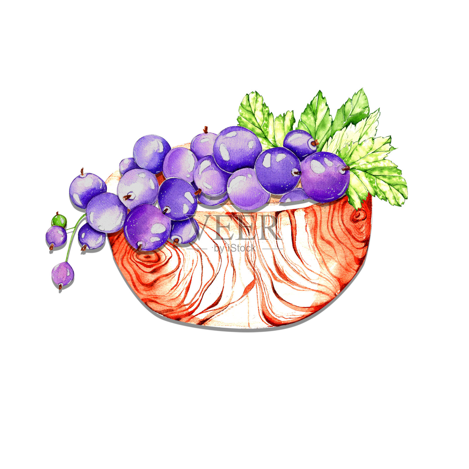 多汁的黑加仑子,果酱。水彩画的浆果集合。为设计和明信片,邀请,海报,菜单。插画图片素材