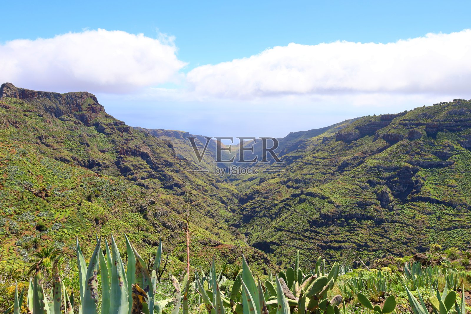 在格拉戈梅拉的GR131徒步小径上,从米拉多德拉拉贾看到的标志性棕榈树峡谷景观照片摄影图片