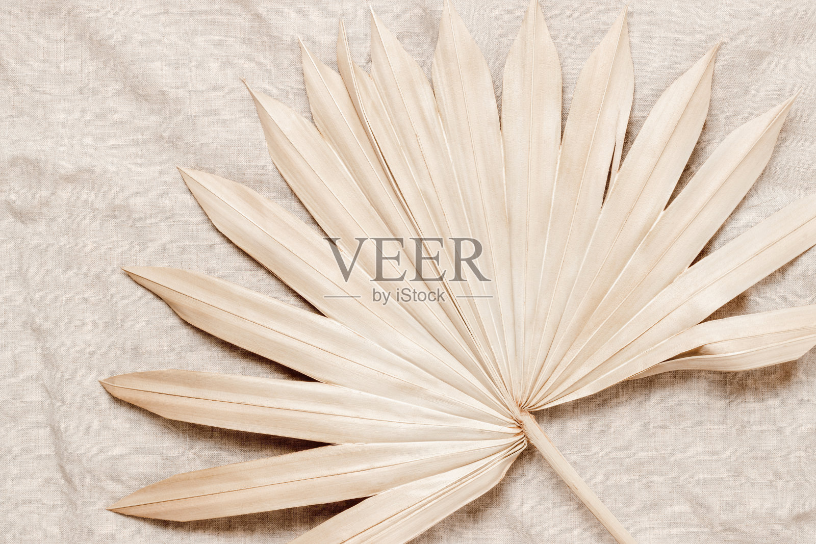 棕叶在米色亚麻布上照片摄影图片