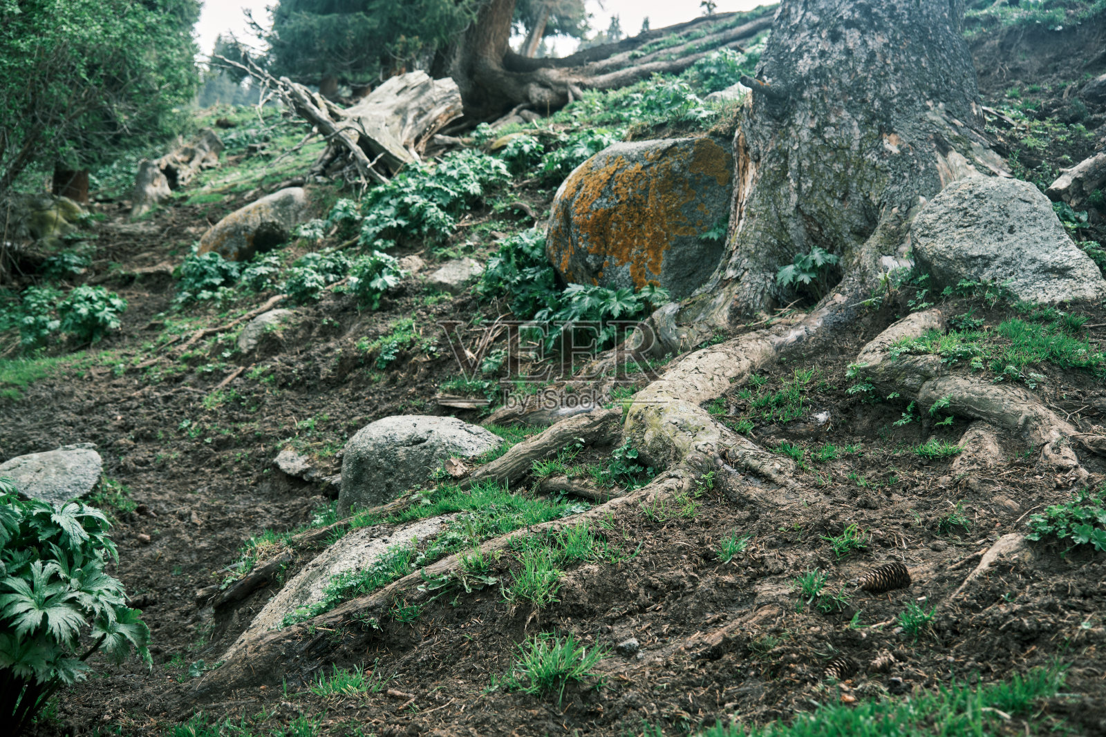 山间河流照片摄影图片