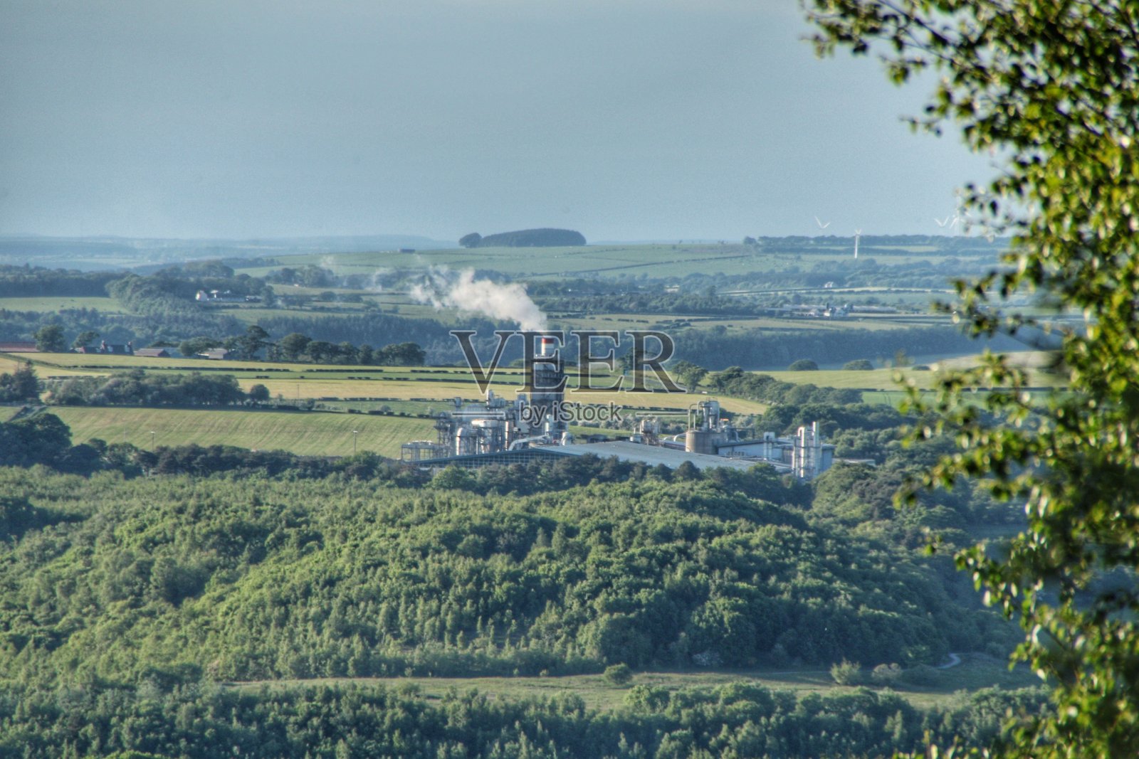 苏格兰林地勘探公司,东艾尔郡。照片摄影图片