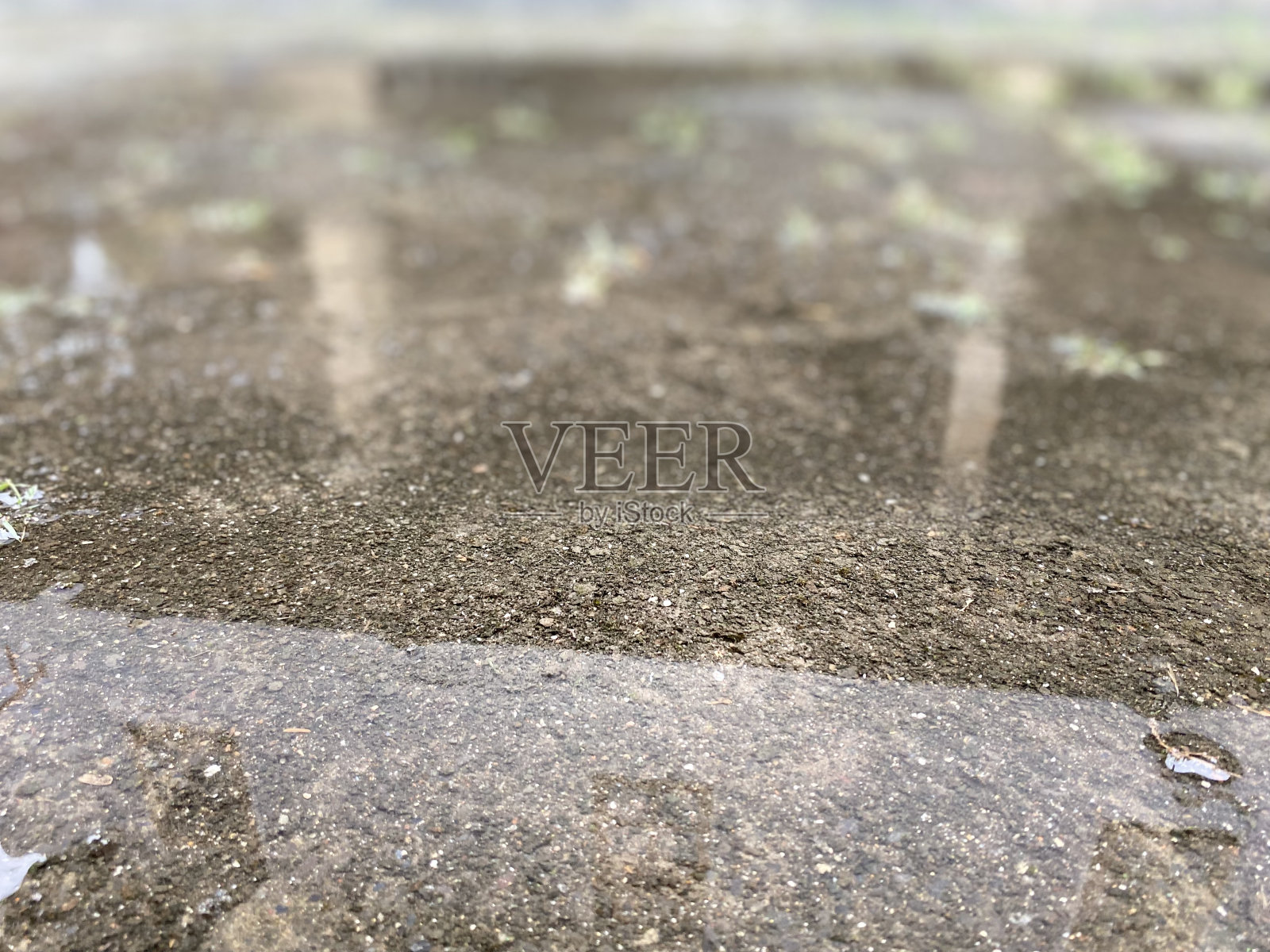 雨后花园的水坑照片摄影图片