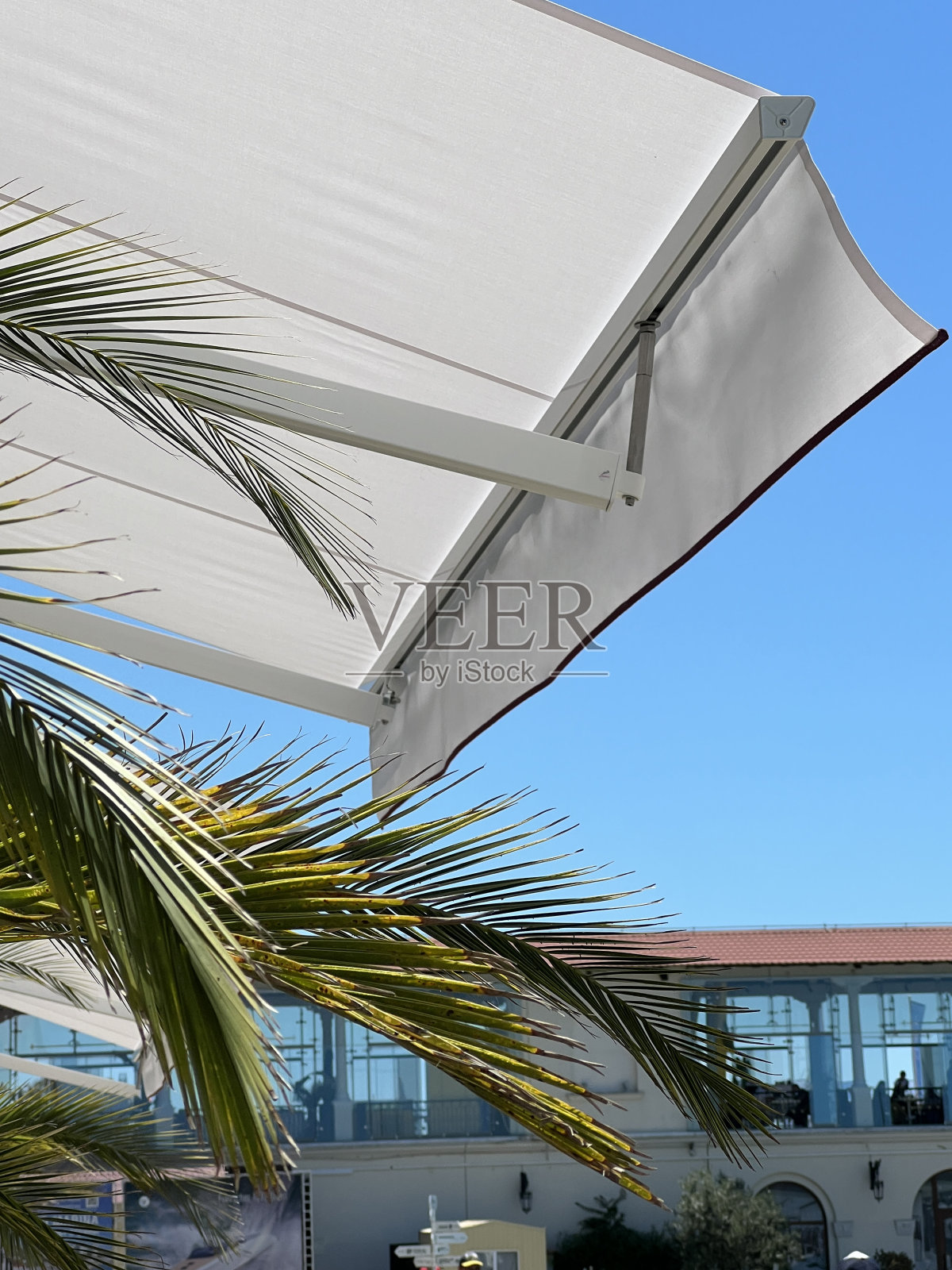 白色织物遮阳篷与棕榈叶。白色遮阳伞照片摄影图片