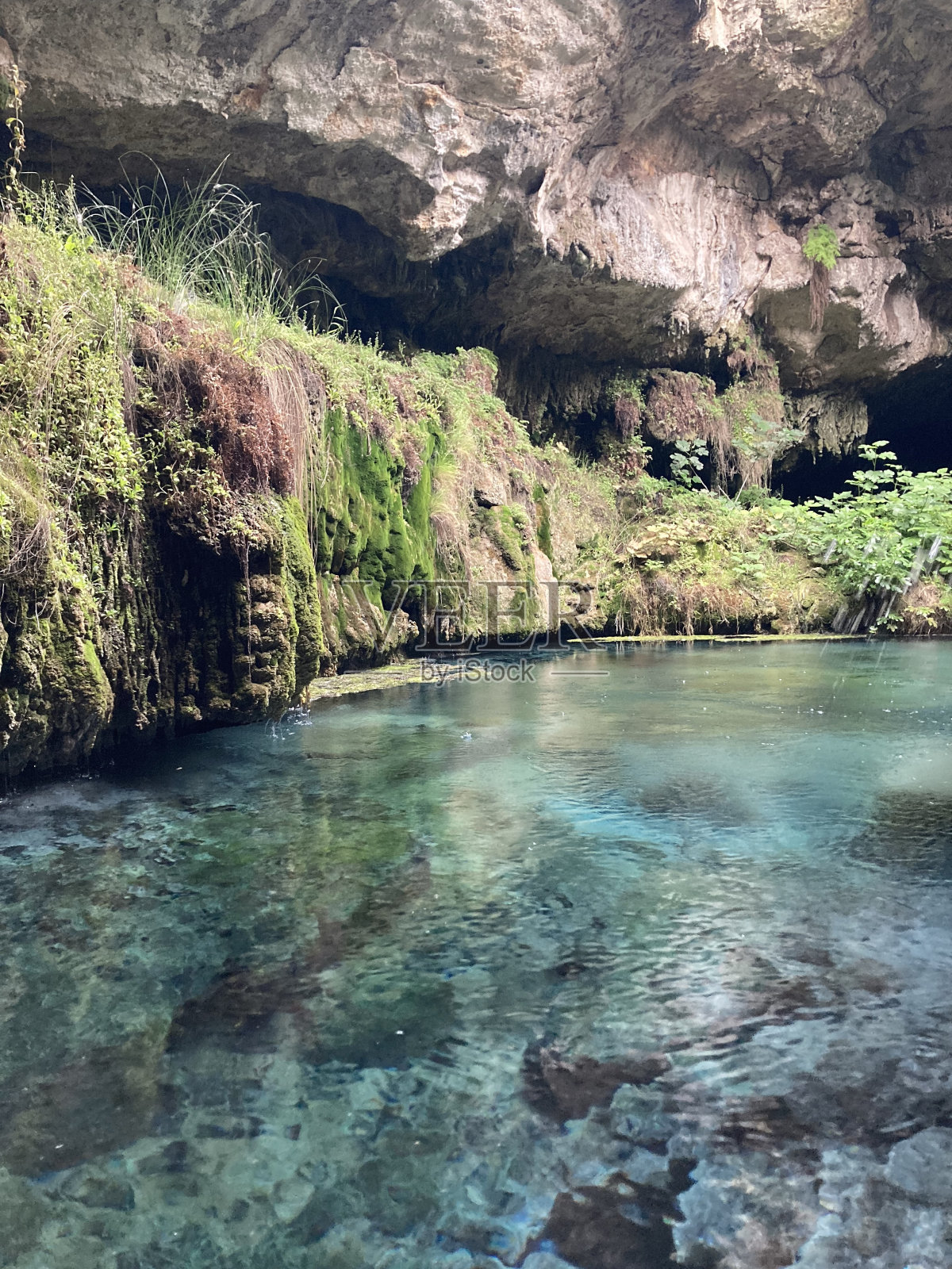 蓝色和绿色的和谐照片摄影图片