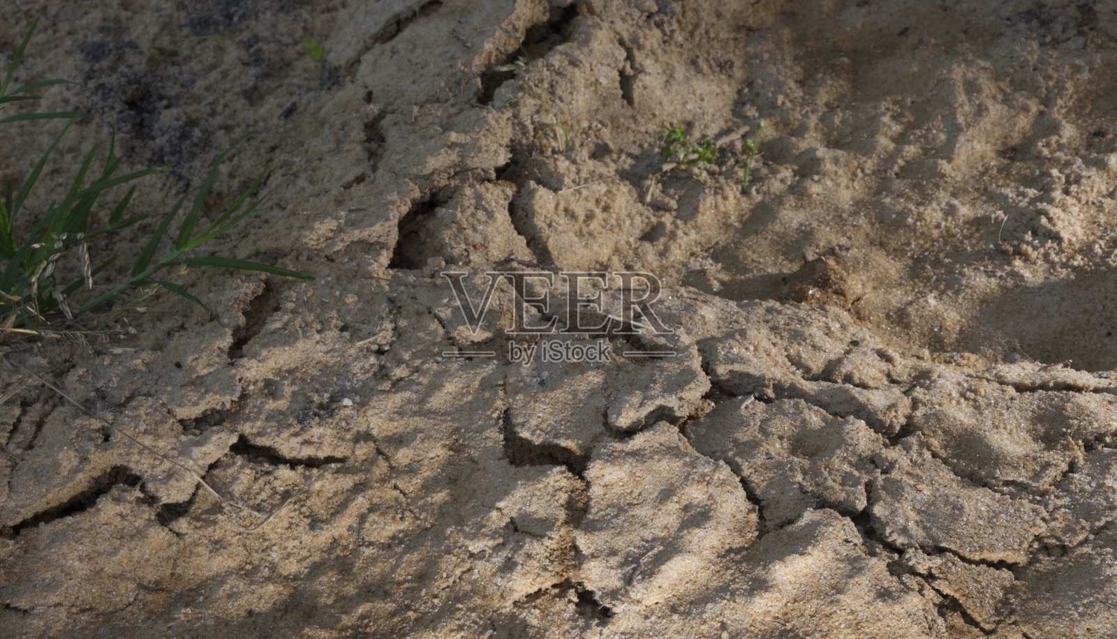 地面被田鼠挖得支离破碎照片摄影图片