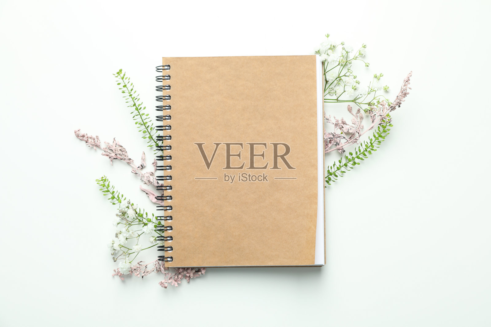空白笔记本与花在白色的背景照片摄影图片