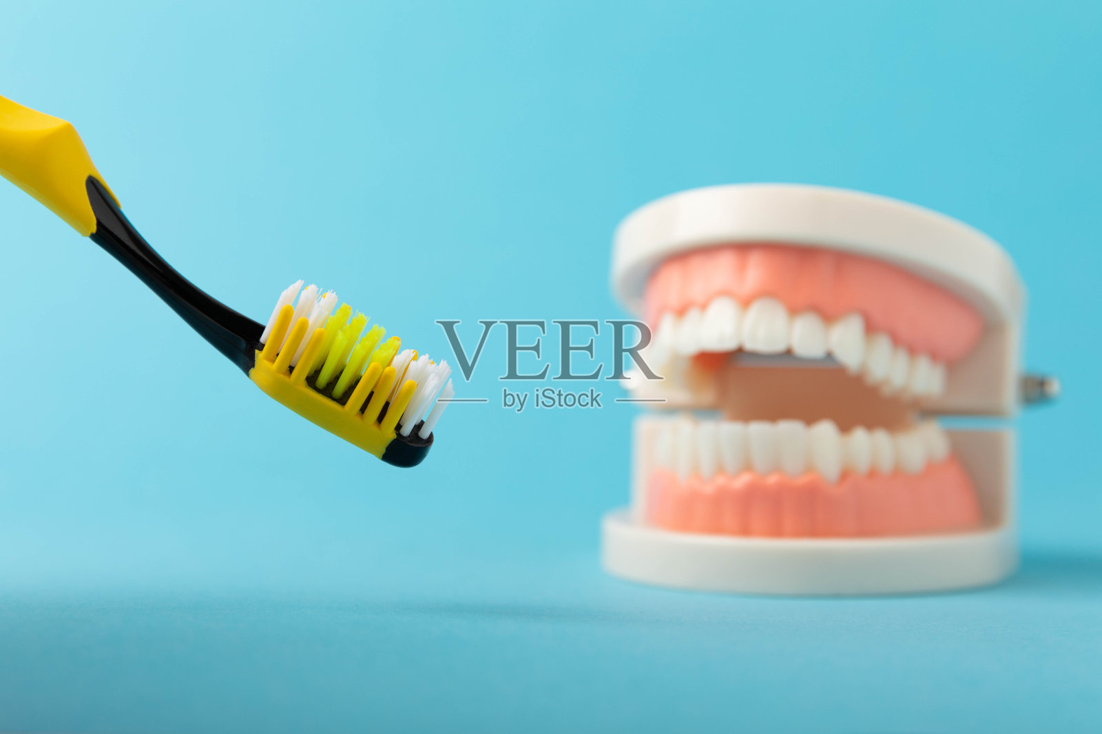 蓝色背景上的假牙和牙刷。上下颚有假牙。假牙或假牙,特写。副本的空间。模型照片摄影图片