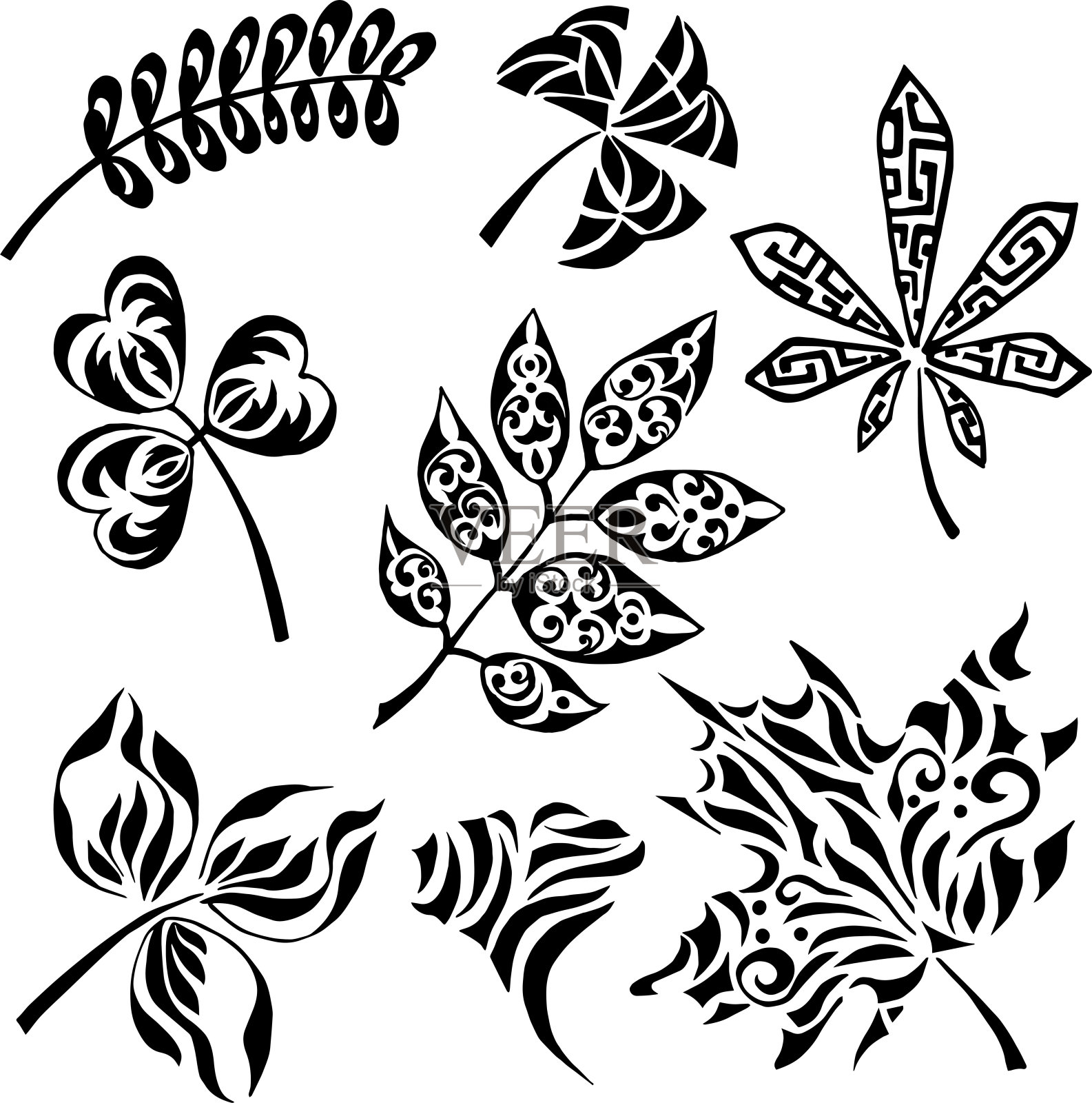 一套树叶插画图片素材