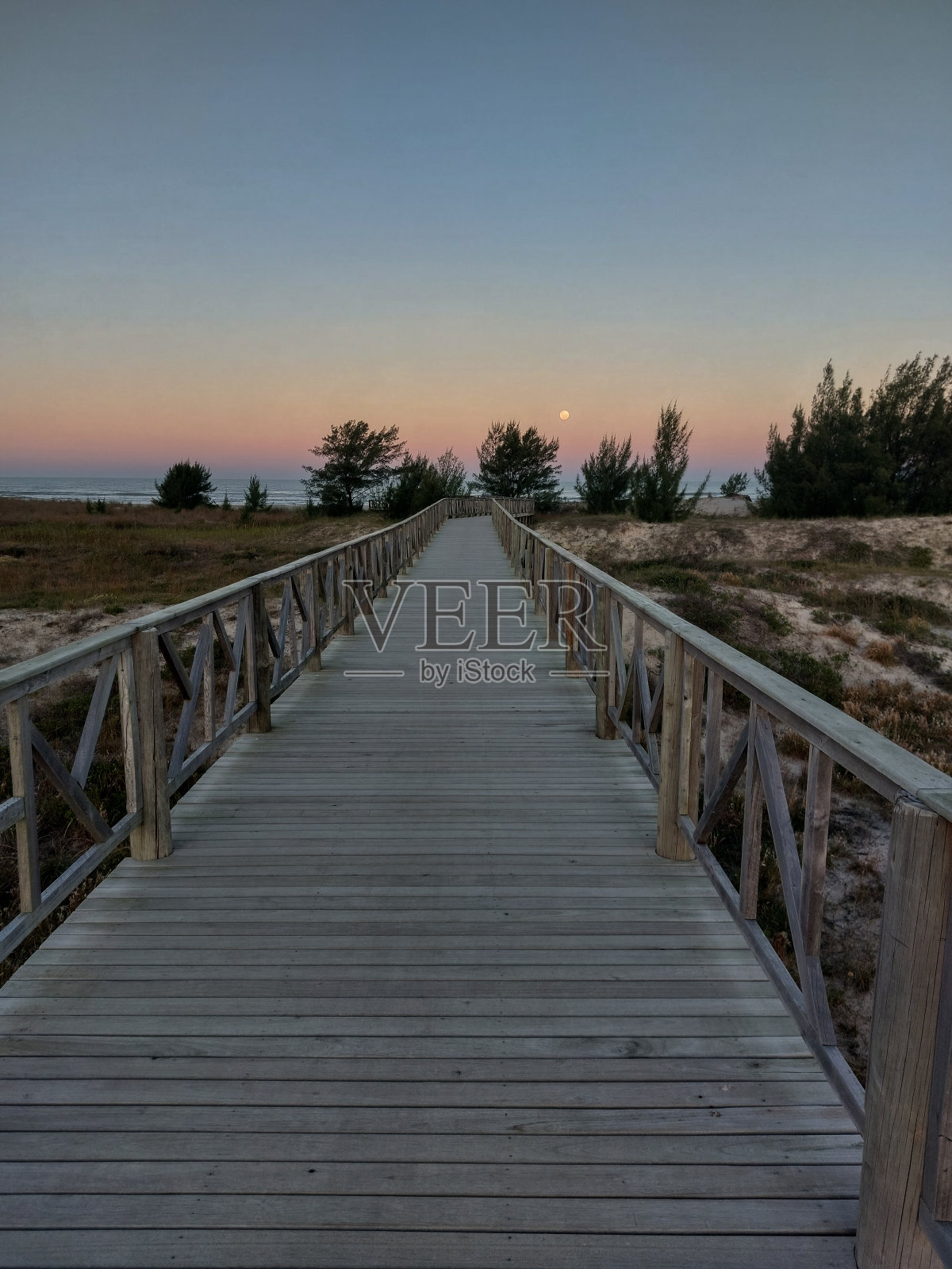 沙丘上的木板路照片摄影图片