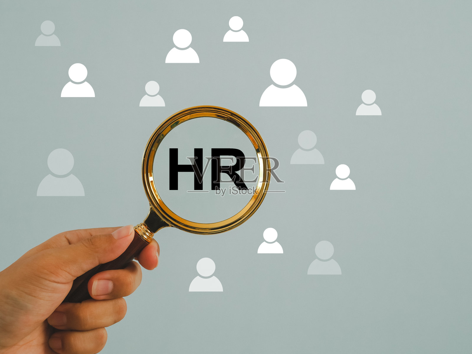 人力资源搜索组织评估的候选人或员工。照片摄影图片